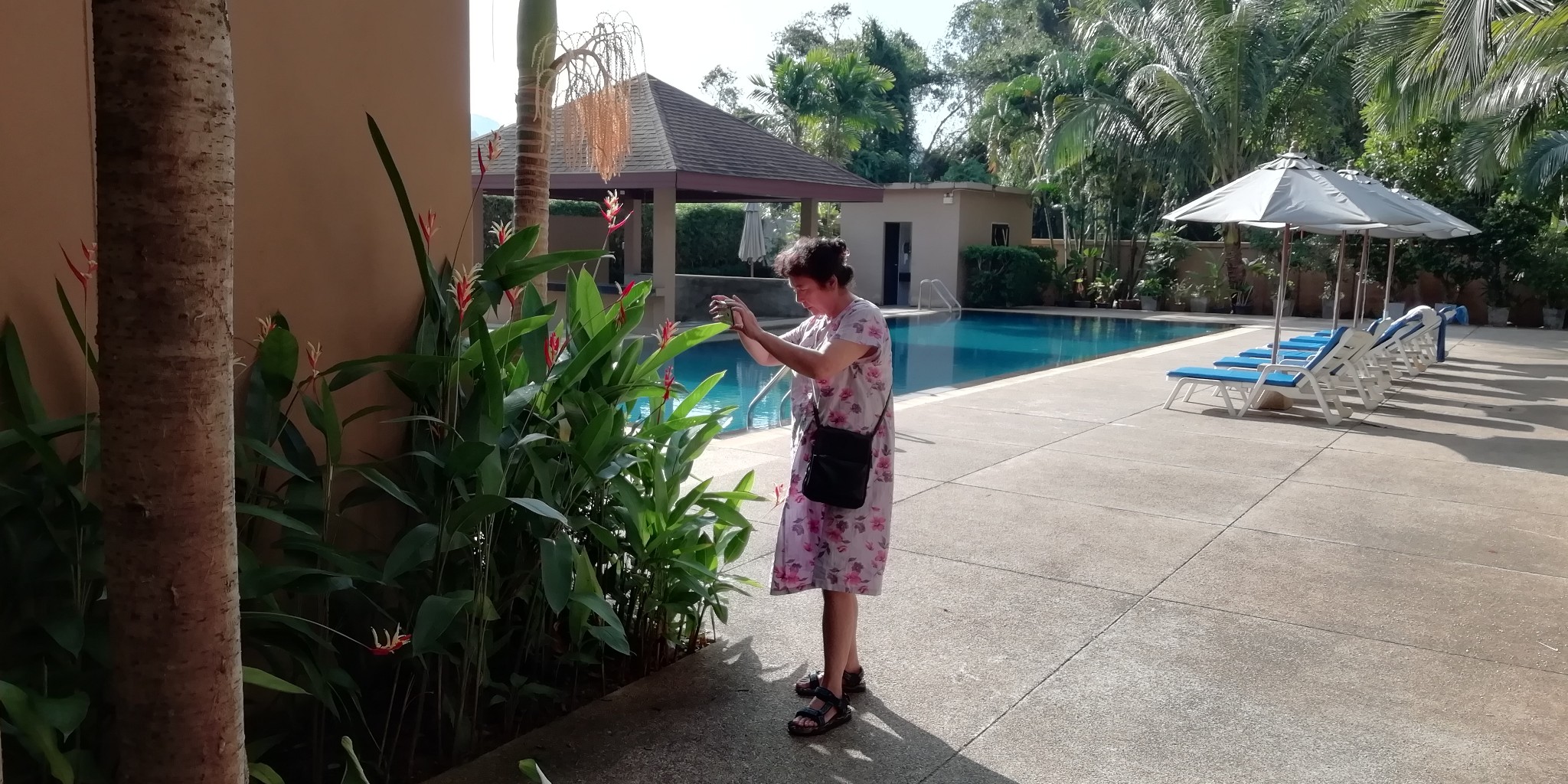 泰国旅游记（上）