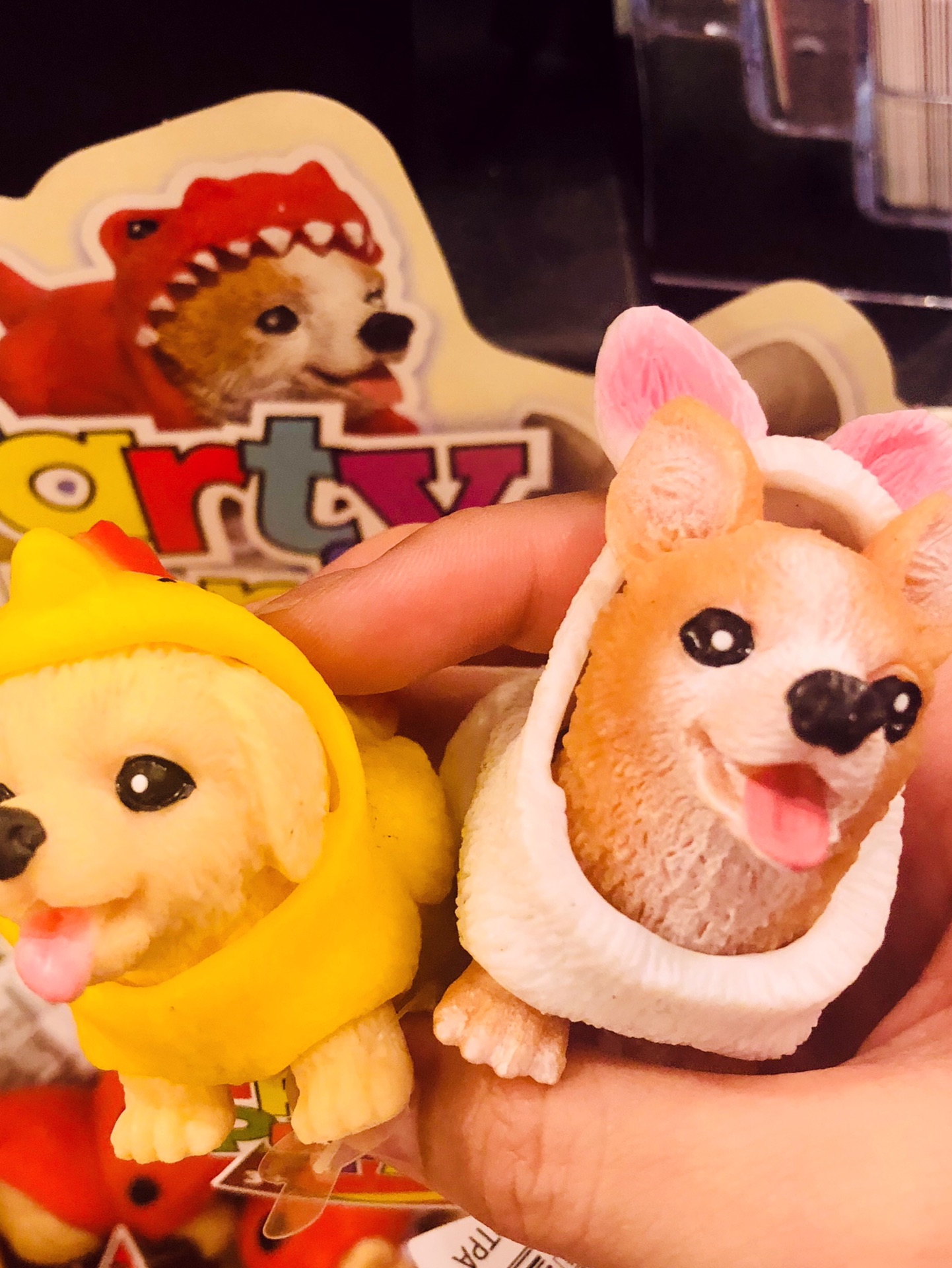 波士顿美食-Spicy Salaa