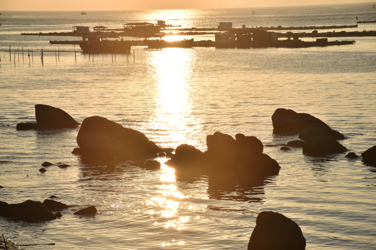 请问海陵岛现在天气怎么样，穿什么衣服合适