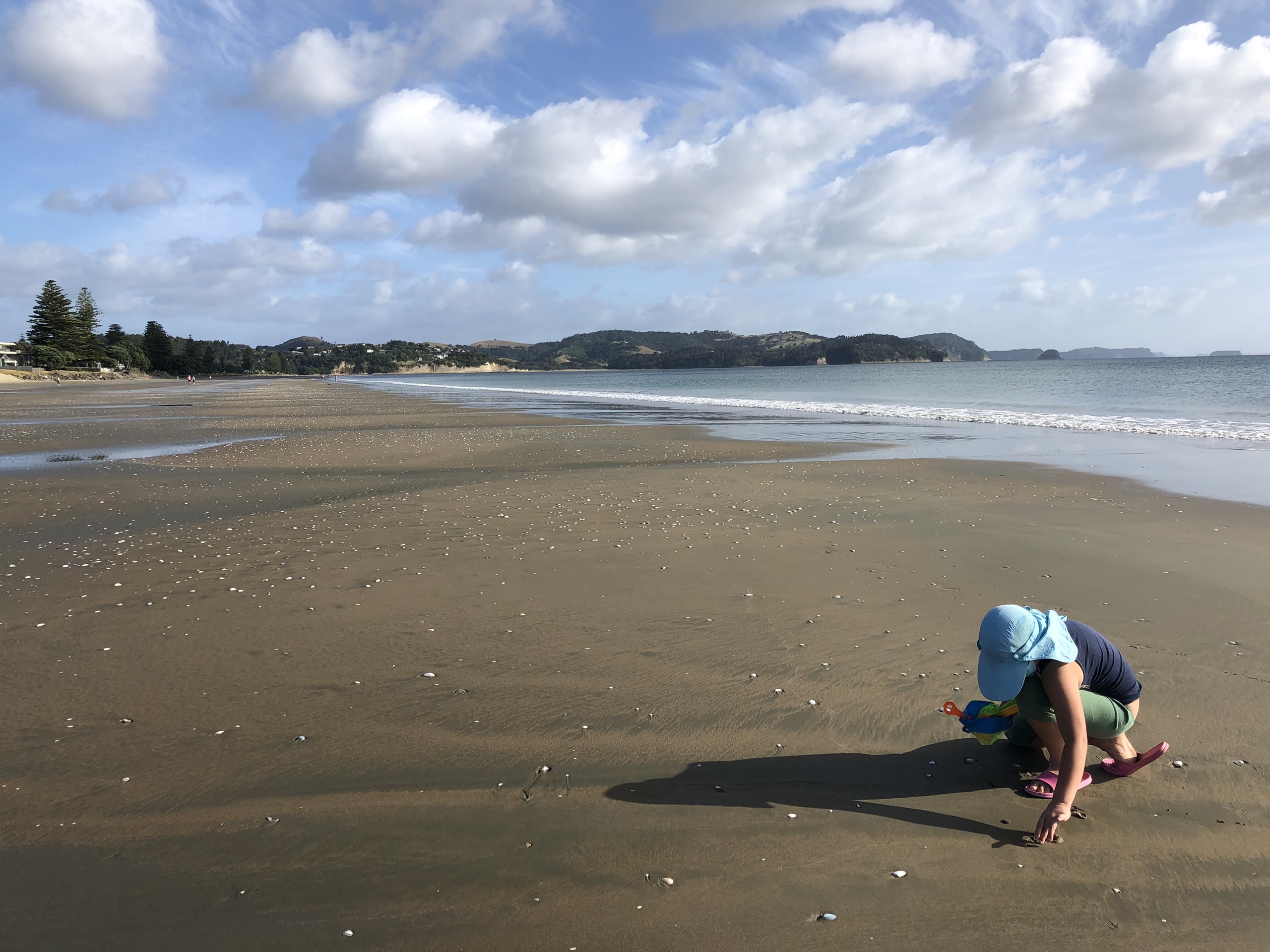 奥克兰美食-Driftwood Orewa