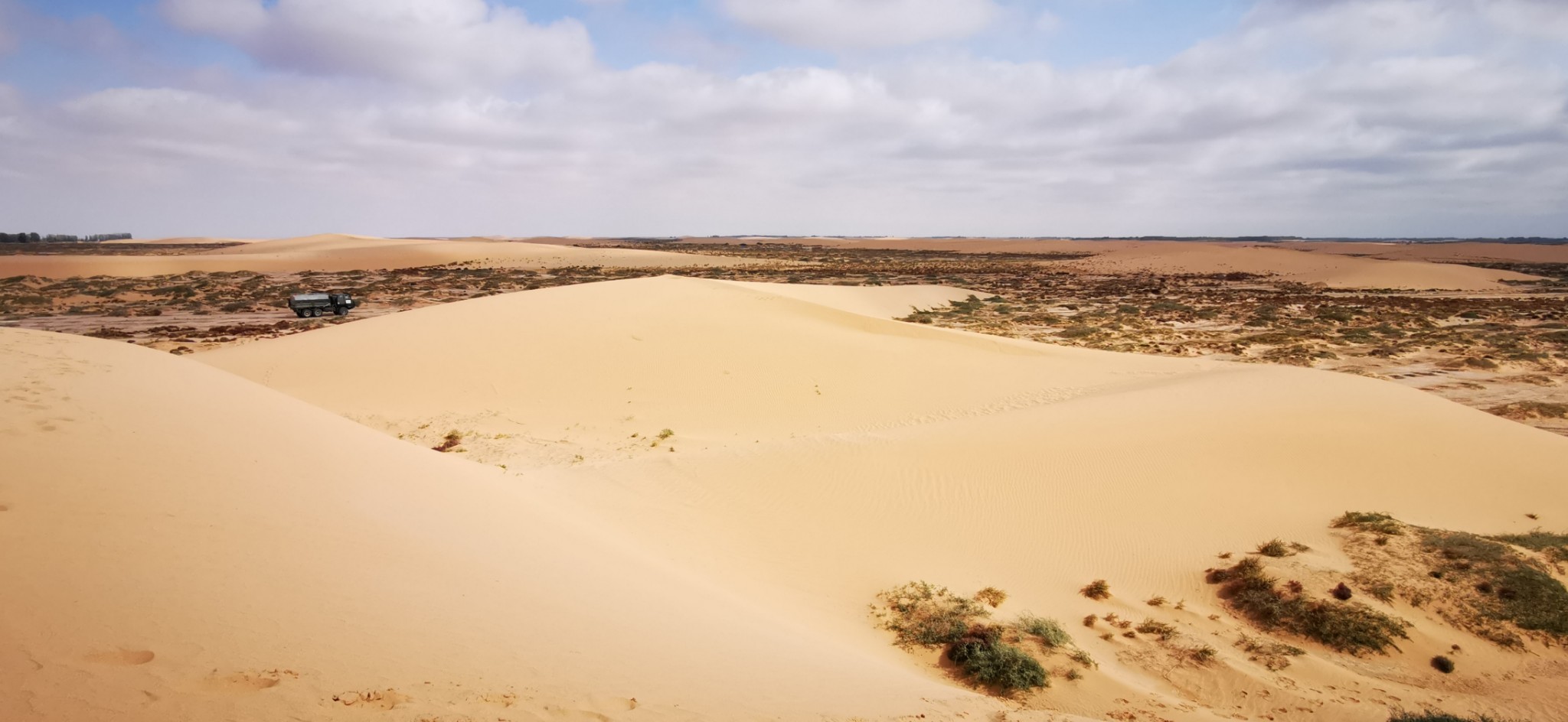 【高阶】塔里木旁种梭梭 - 民勤4天行_游记