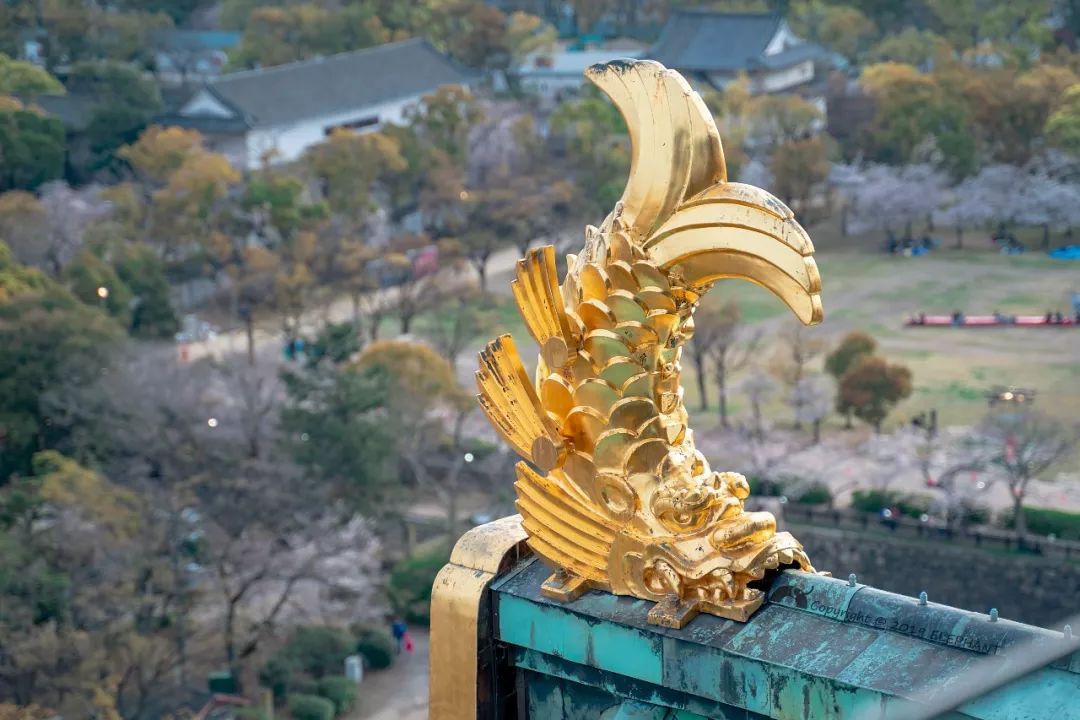 潜派旅行