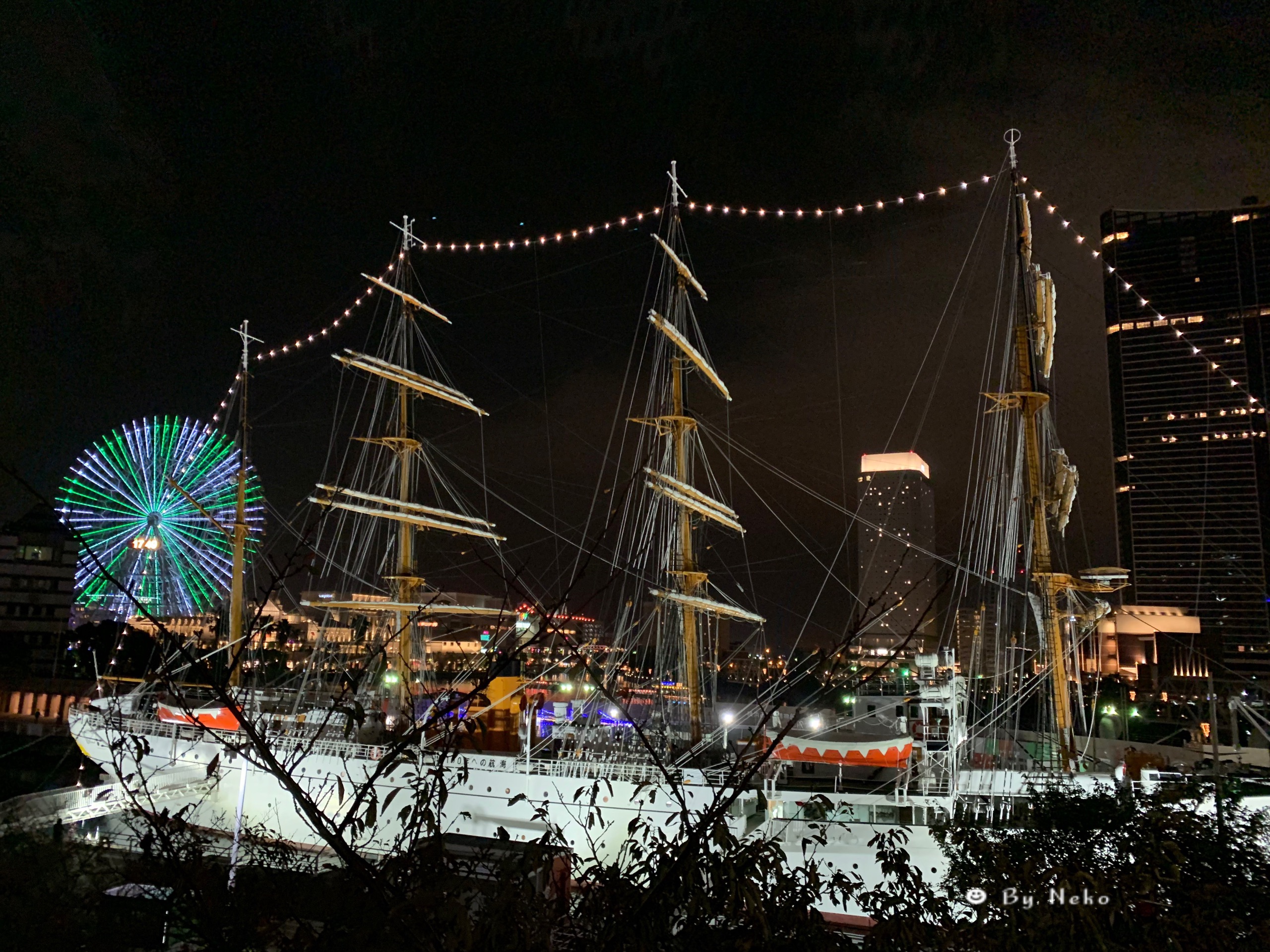 东京美食-鳳仙花