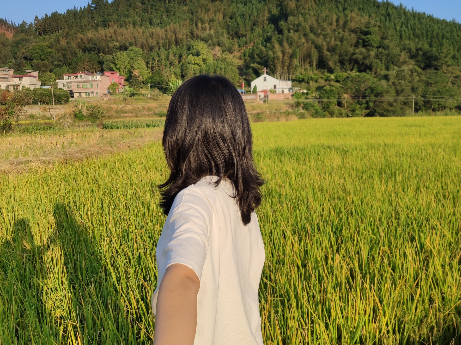 【连山壮族瑶族自治县景点图片】莲塘村