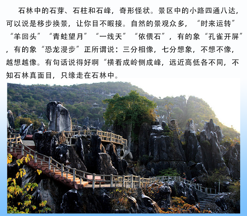广西贺州玉石林电子门票 正规门票 未取票可退 提前1小时预订