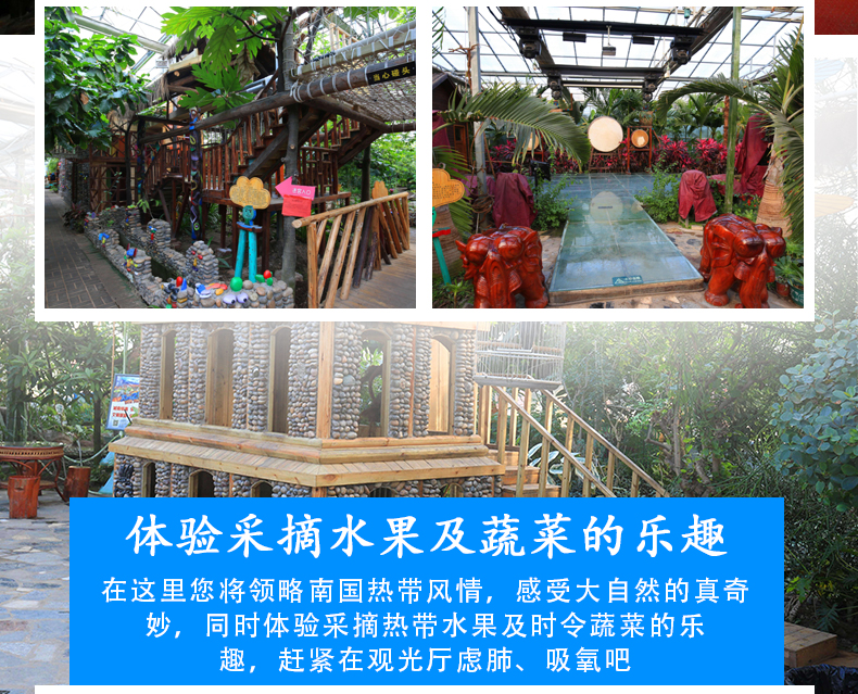 北京大兴呀路古热带植物园门票(凭证码取票入园)