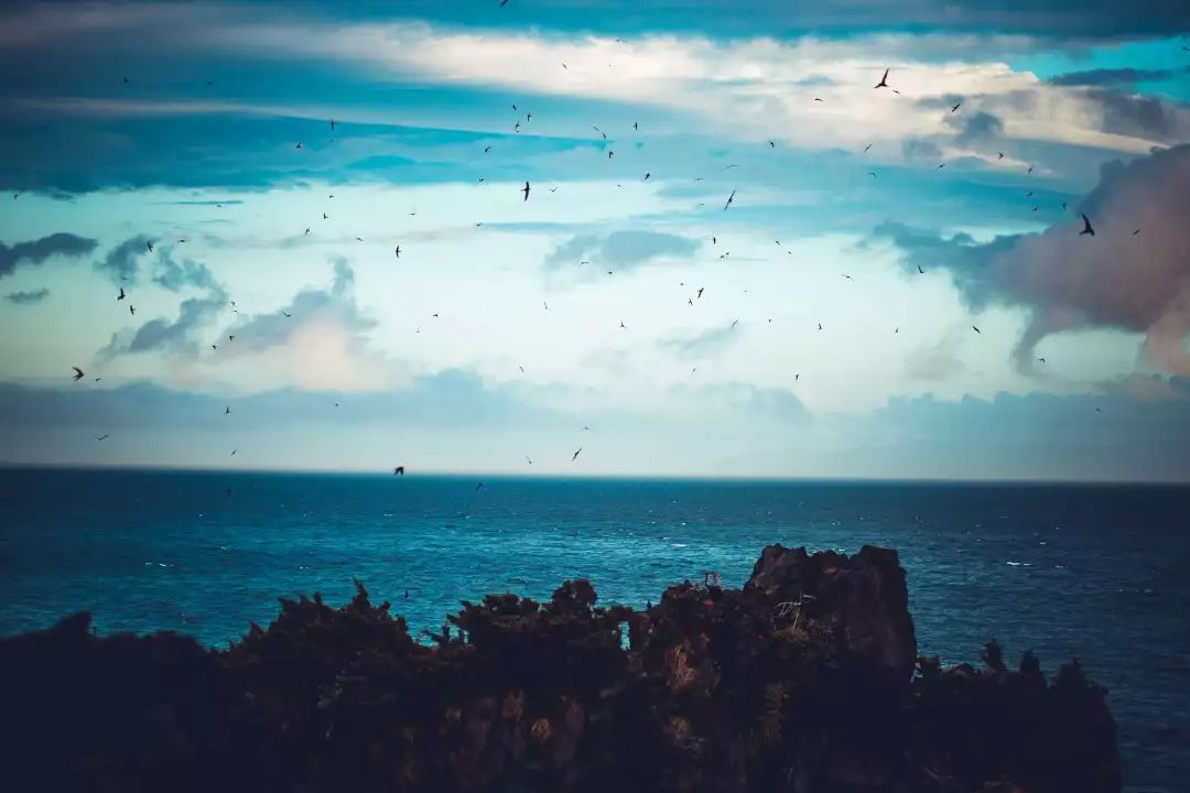 潜派旅行