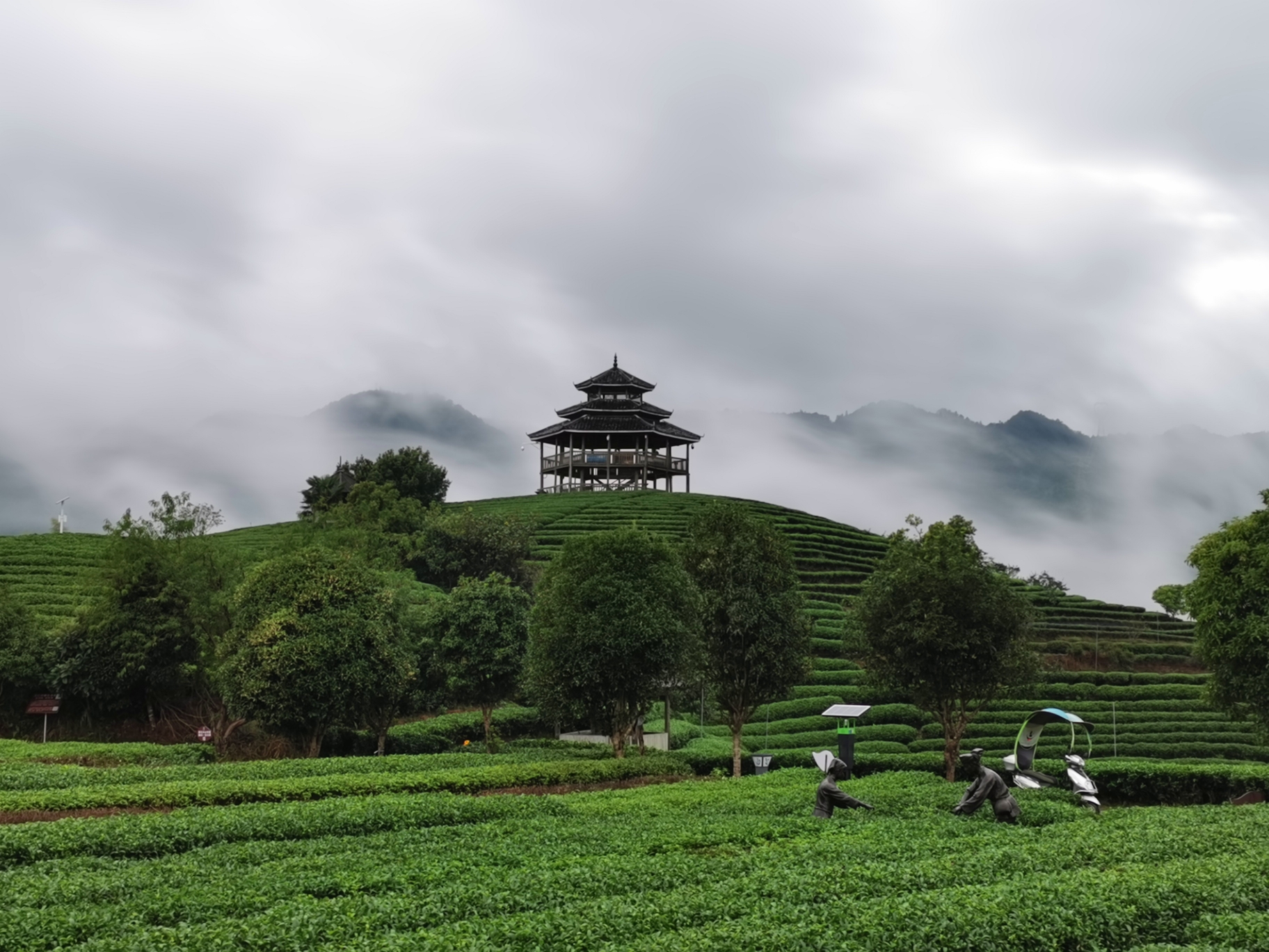 三江当地向导带你走进（仙人山茶园，丹洲古城...