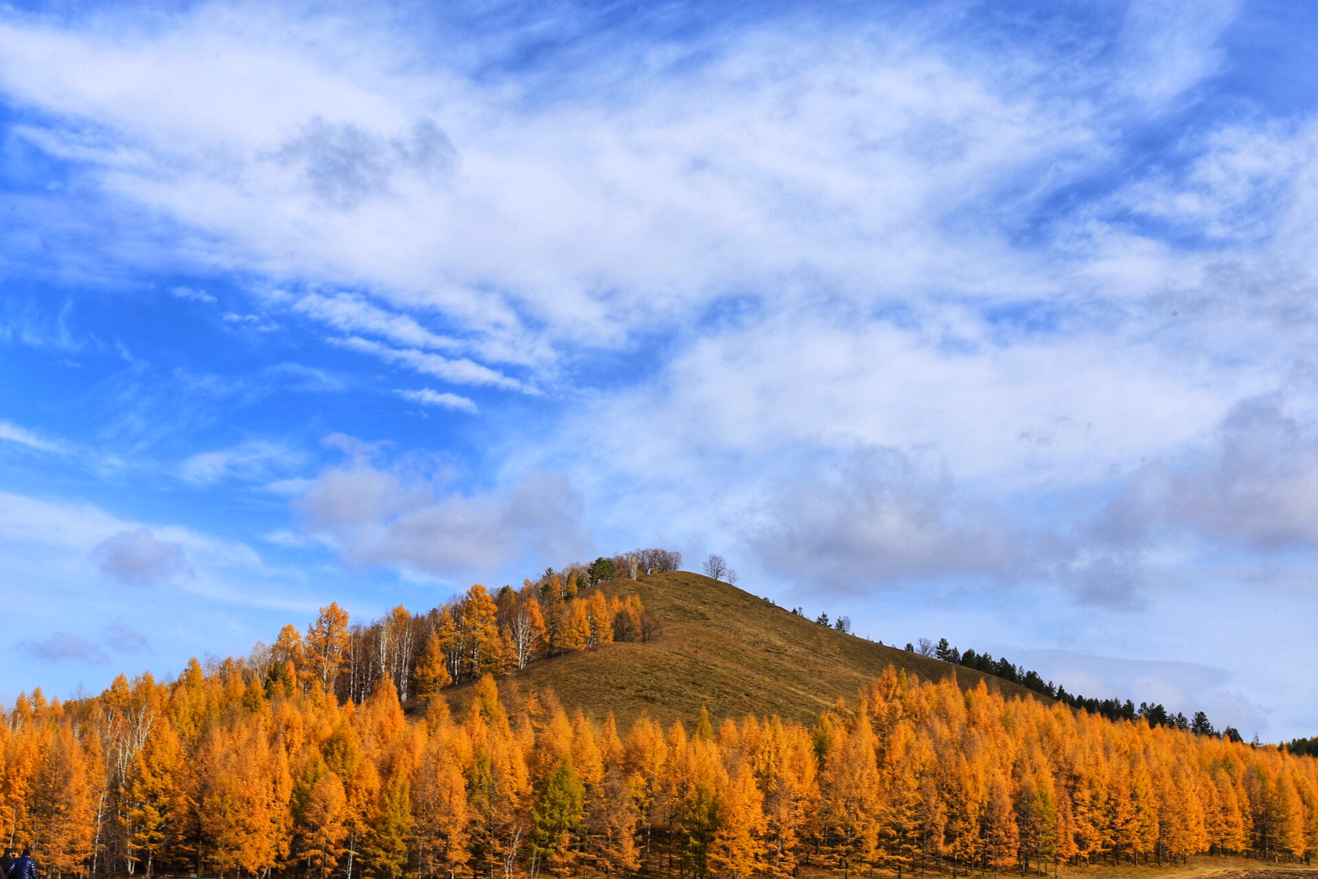 闯上呼伦贝尔之路，写一封五日情书给额尔古纳河右岸的极限之美【醉美呼伦贝尔旅行路线推荐】_游记