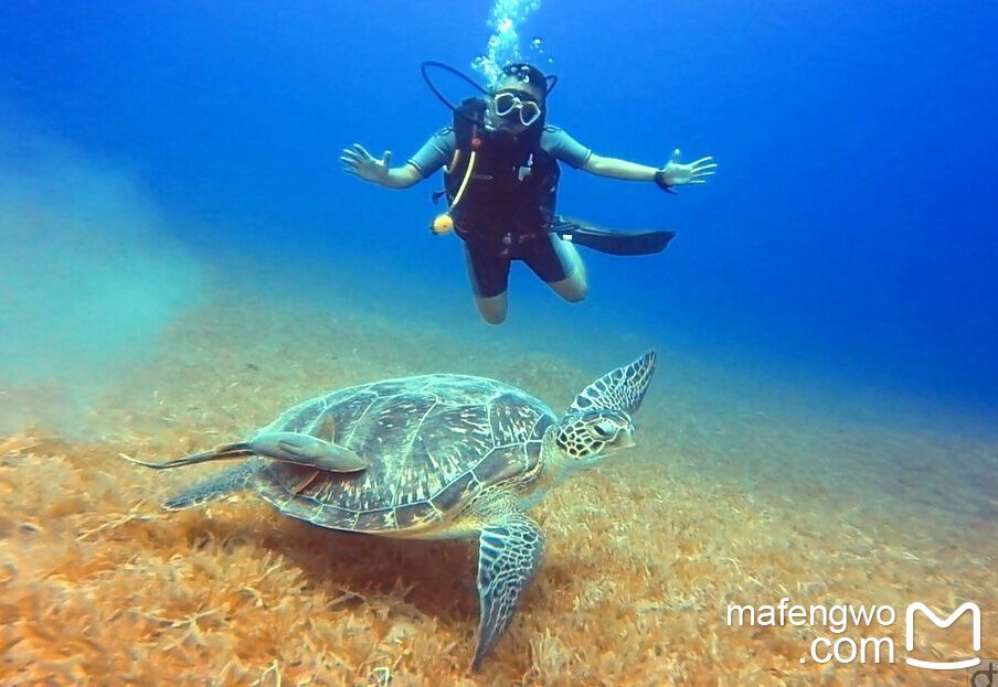 ·历史很丰满，现状很骨感——七彩斑斓的埃及帝国_游记