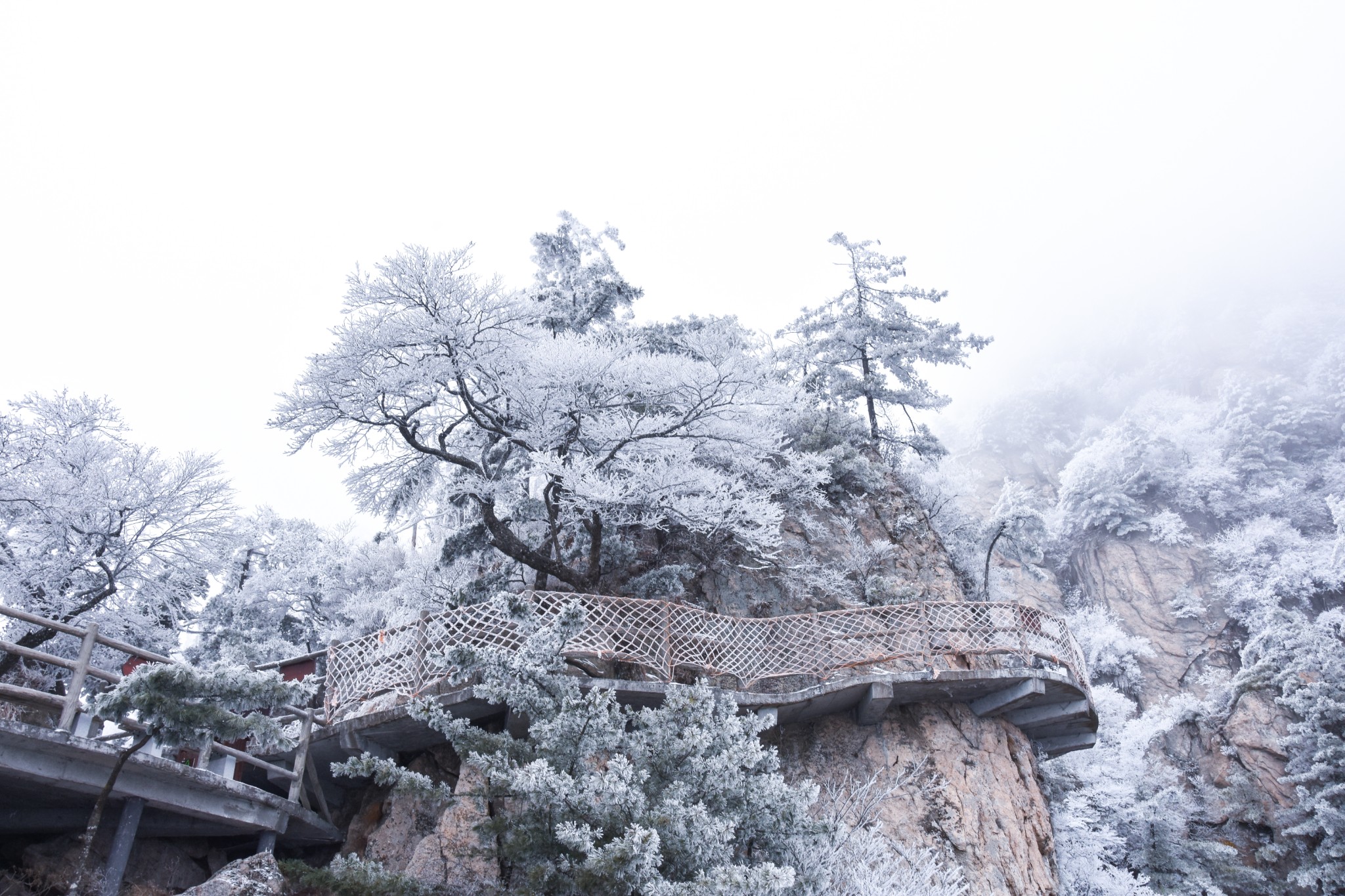 【栾川图片】不管多忙，都要出去走走——记一个人的老君山赏雾凇雪景之旅，感悟《道德经》真谛