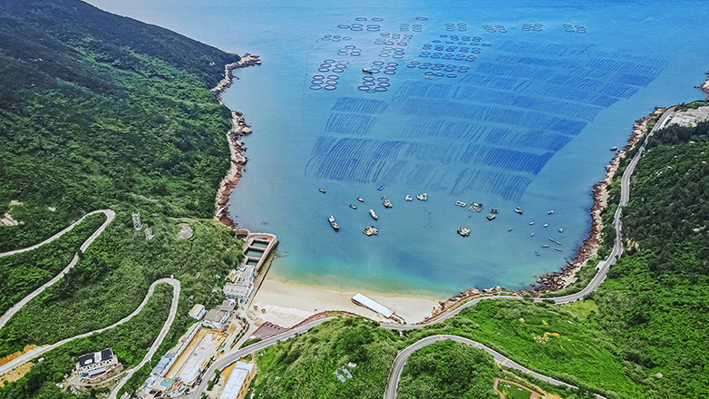 游侠客温州南麂岛2日游国内仅有贝壳沙滩含往返船票洞穴酒店山顶帐篷