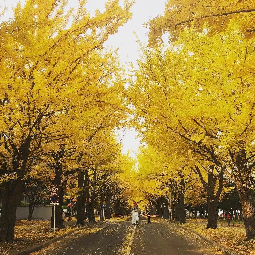潜派旅行