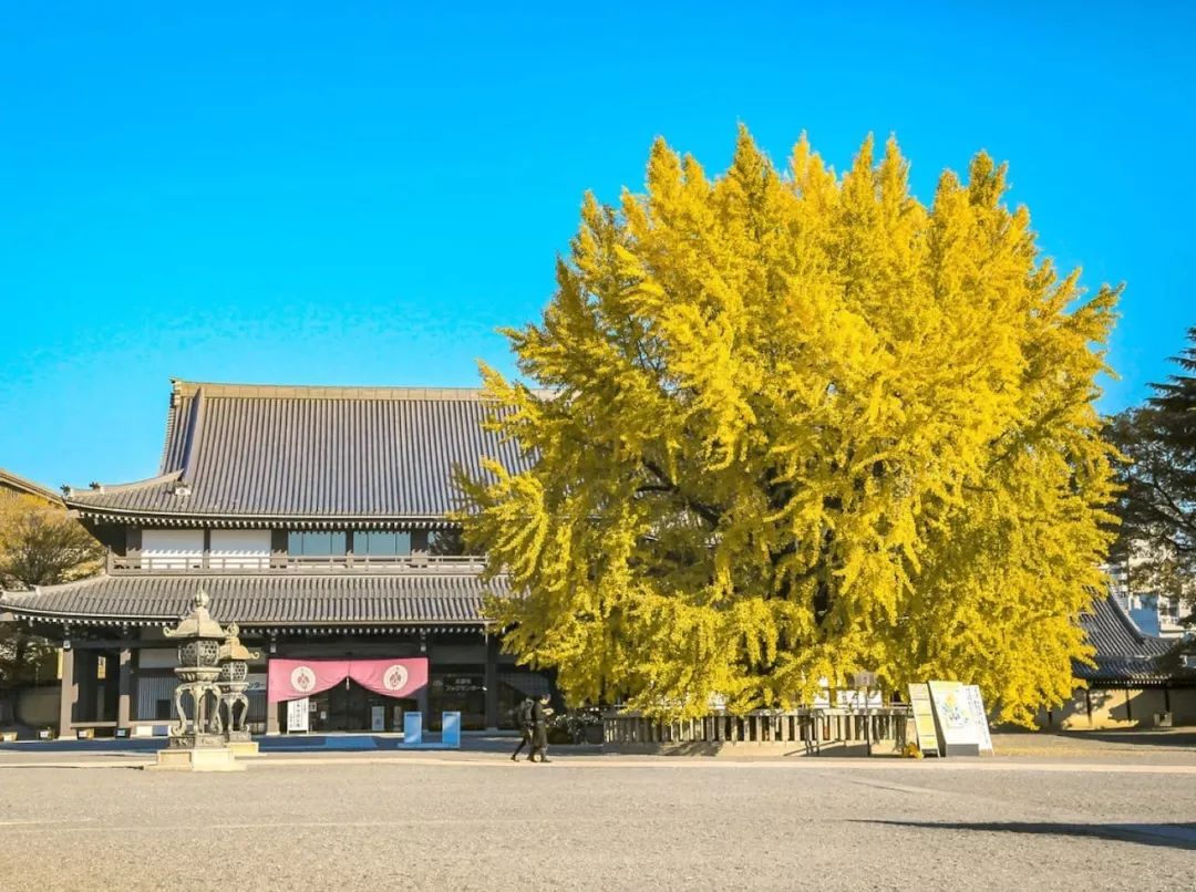 潜派旅行