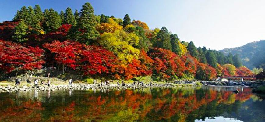 潜派旅行