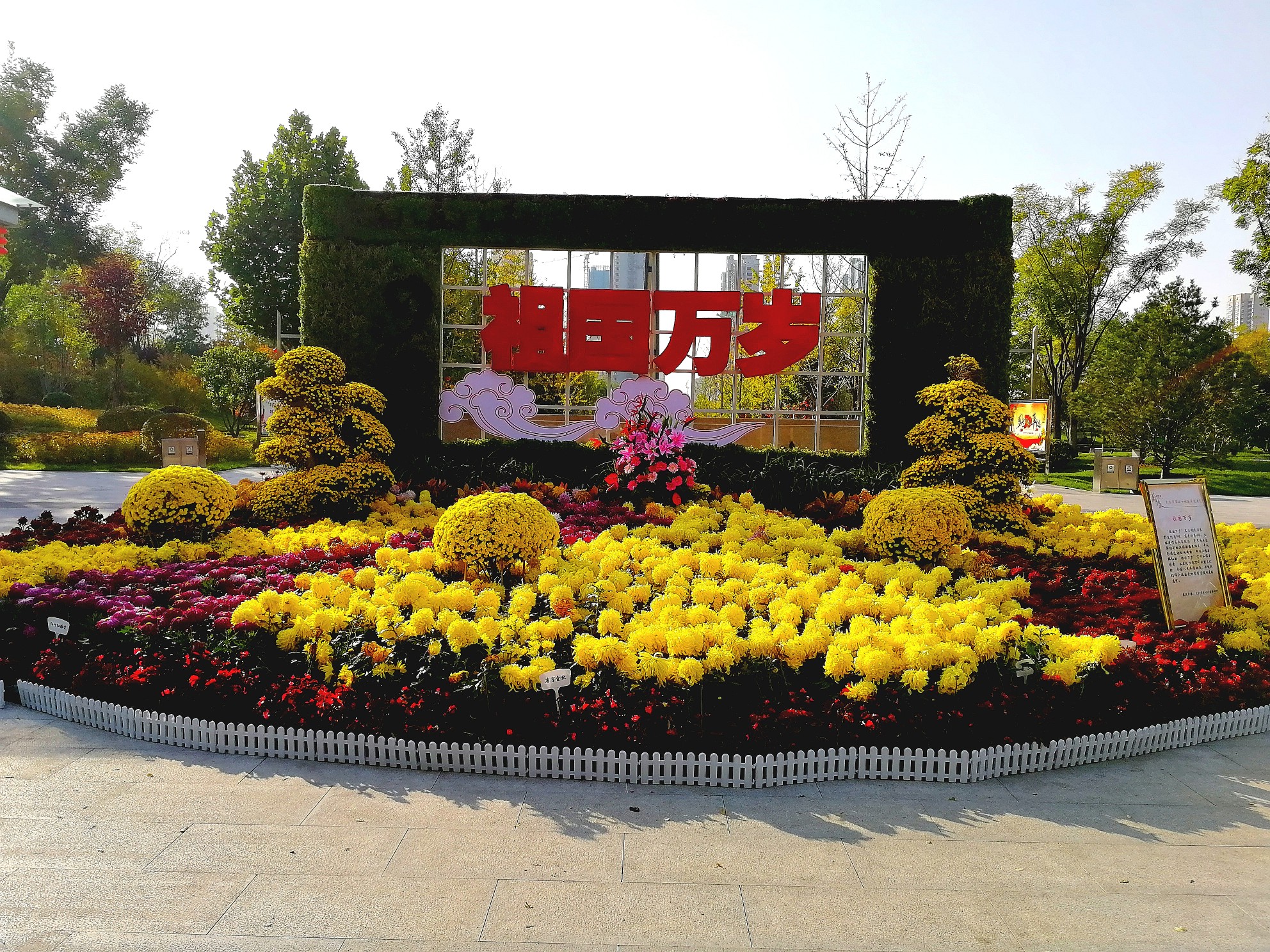 2019,国庆节,太原和平公园菊花展