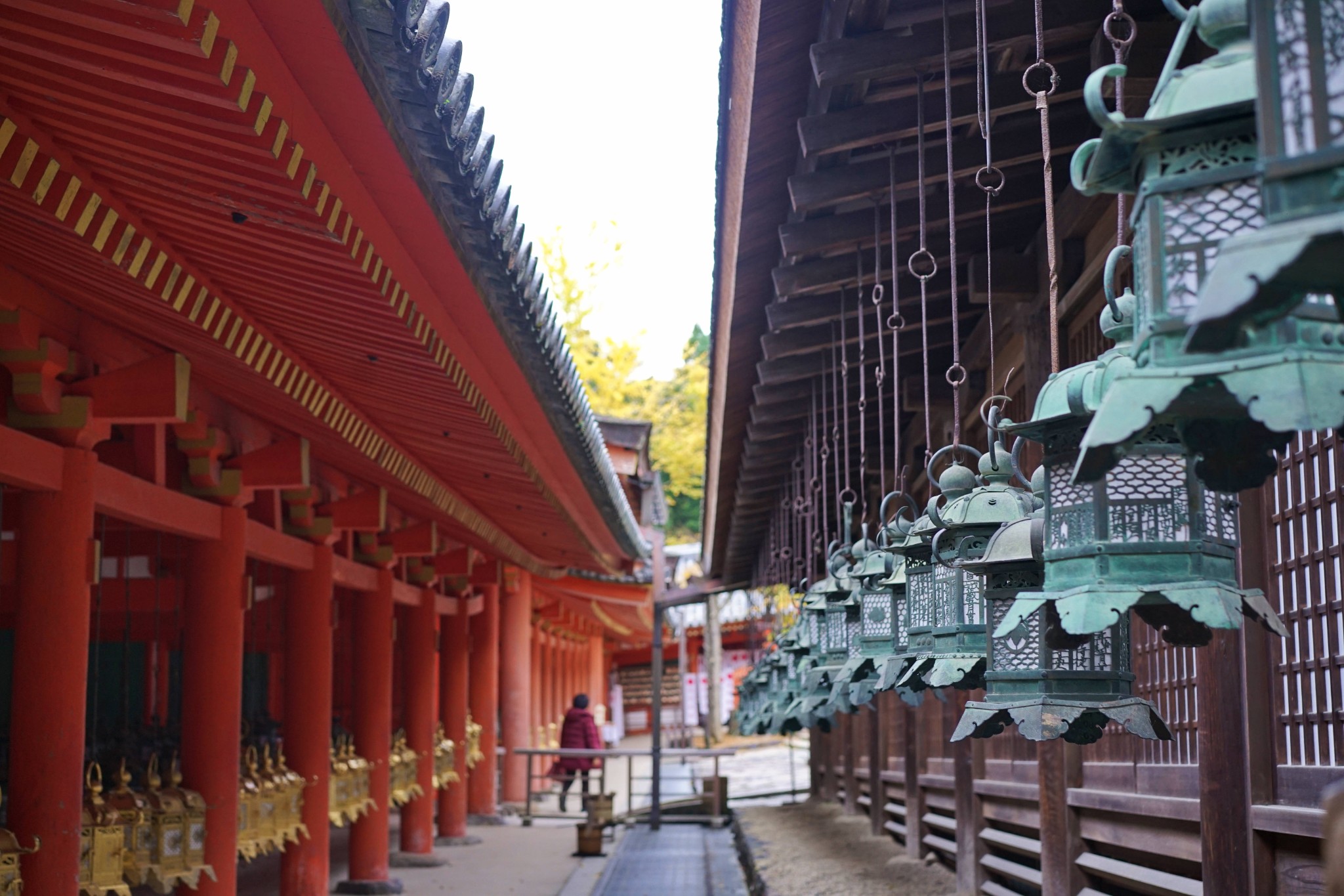 潜派旅行