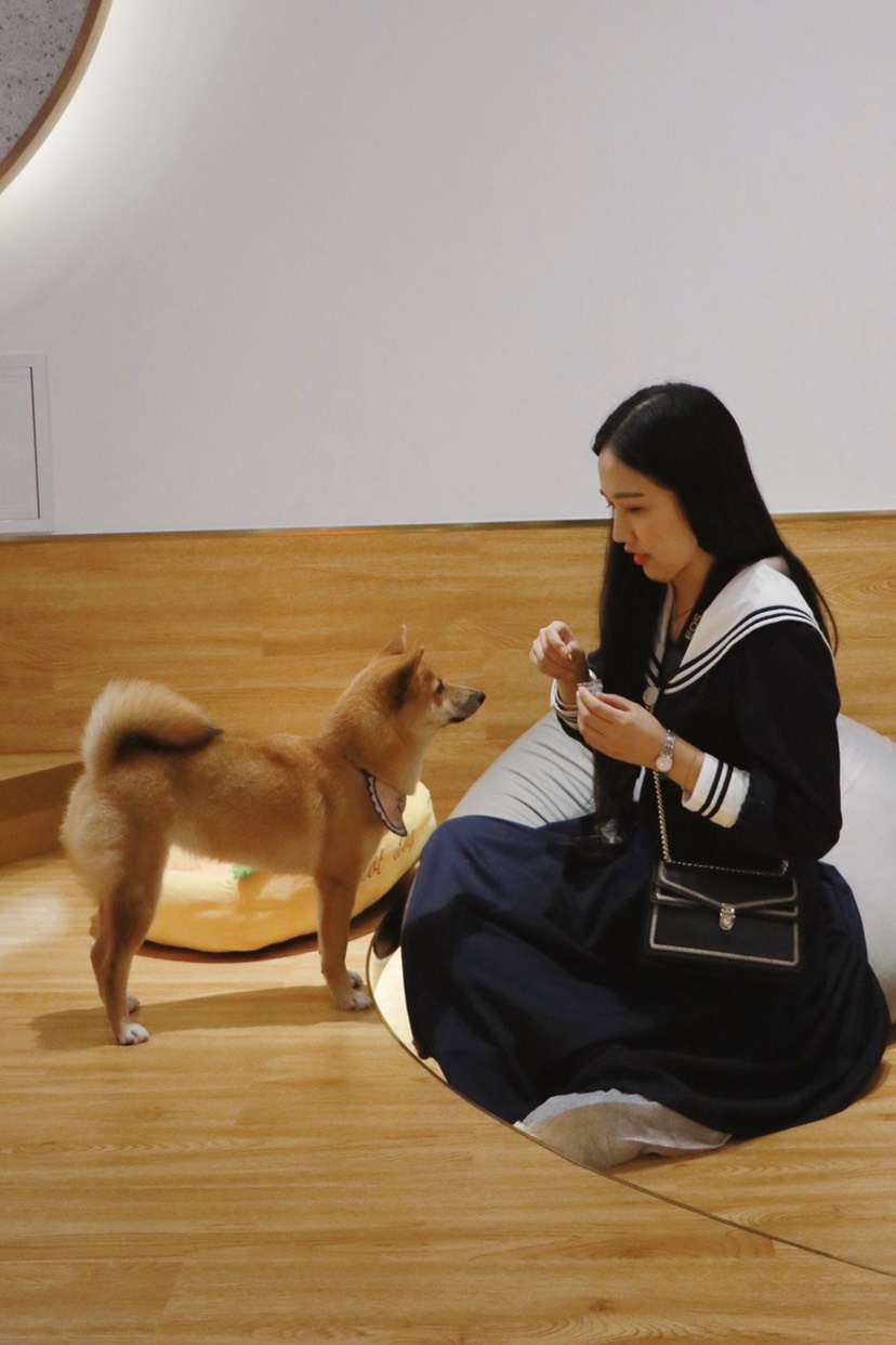 南京美食-柴府·豆柴咖啡厅体验馆(新街口店)