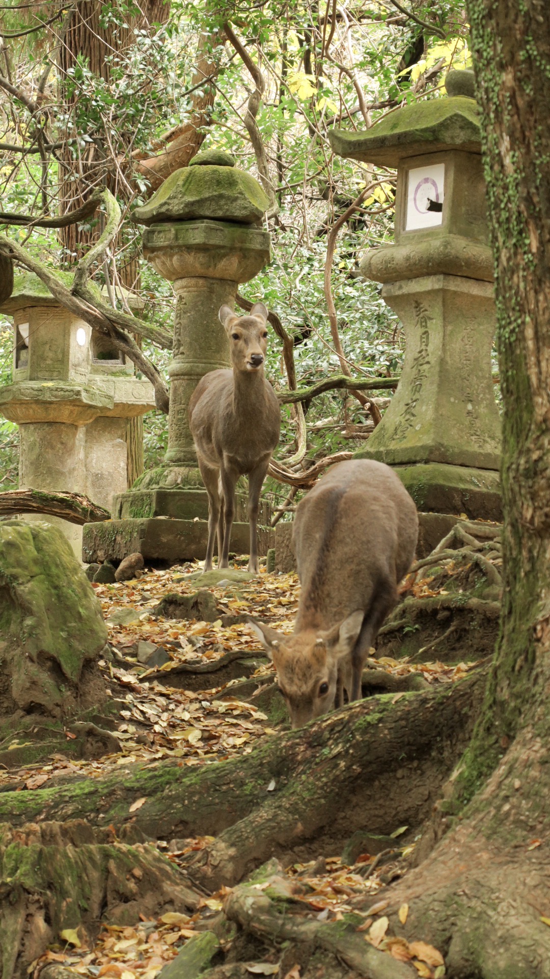 潜派旅行