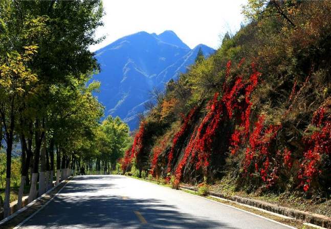 延庆百里山水画廊什么时候去最美