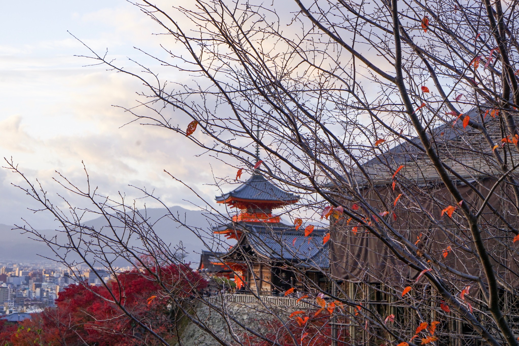 潜派旅行