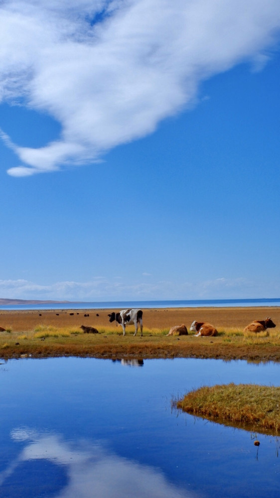 什么季节去大西北最好
