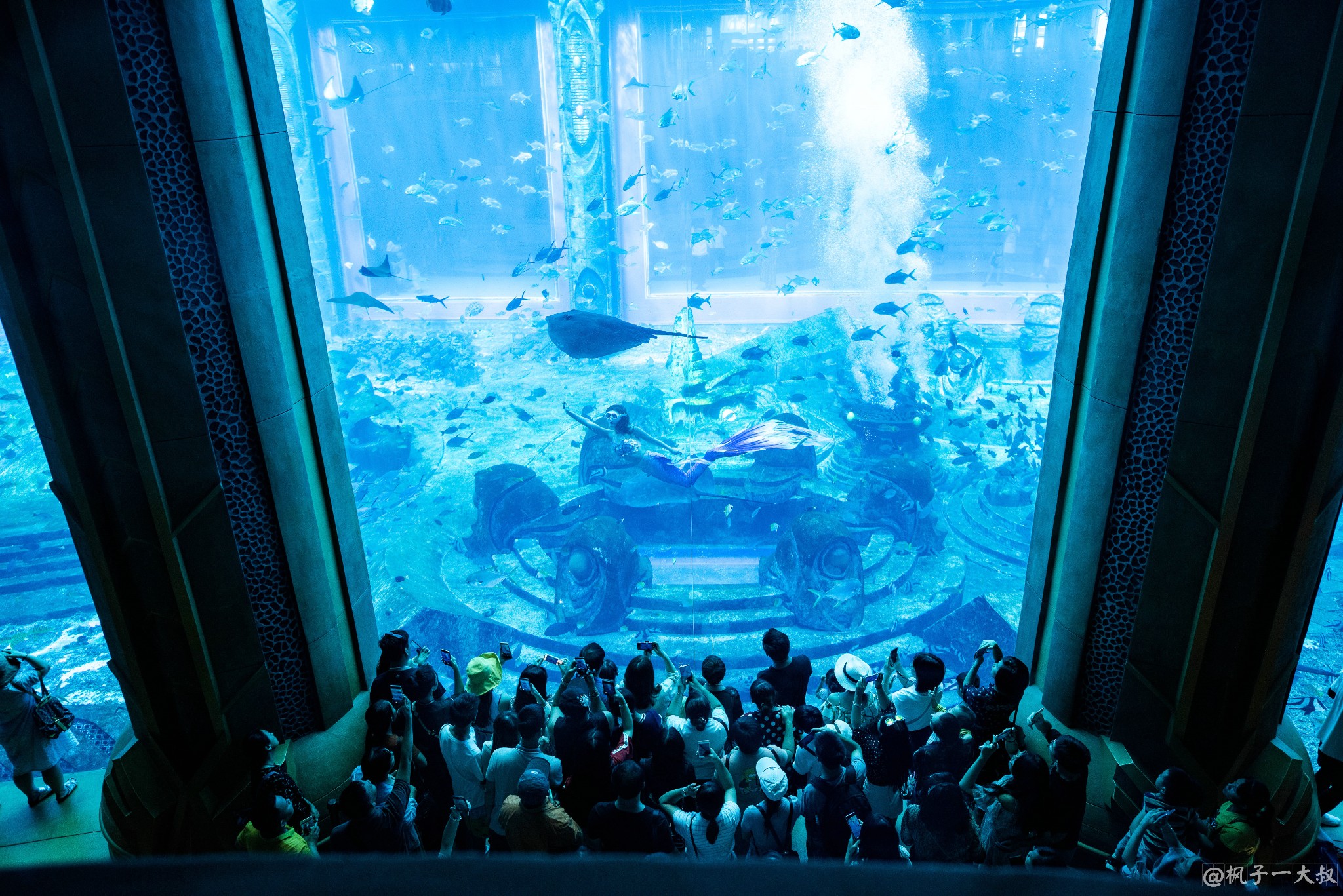 亚特兰蒂斯失落的空间水族馆   