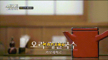 潜派旅行