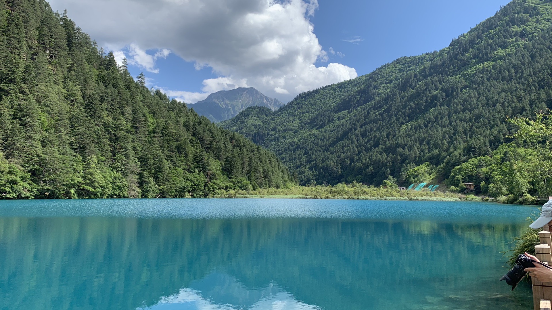 2021年6月底【九寨沟】【若尔盖】亲子自驾游，西安出发，开启欢乐之旅_游记