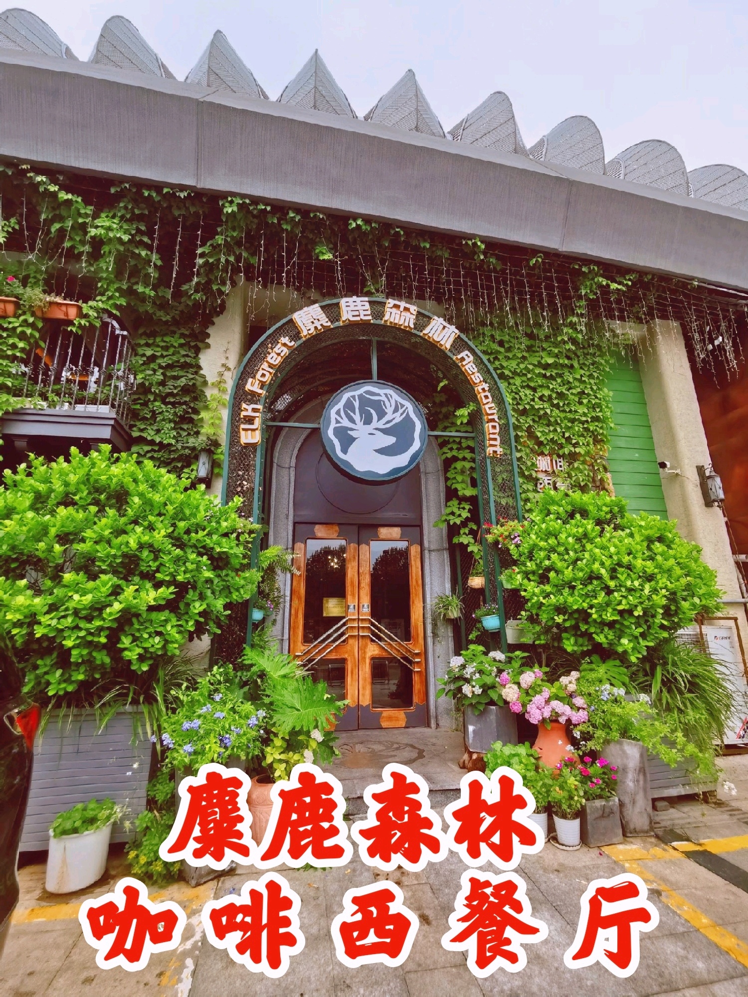 济南麋鹿森林·西餐厅(奥体中心店)餐厅介绍 麋鹿森林·西餐厅(奥体