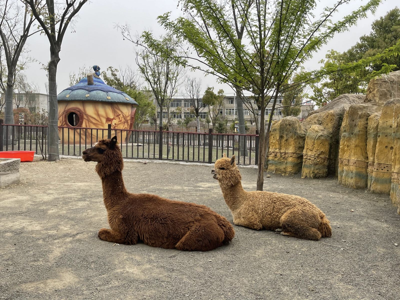 阜阳野生动物园门票亚洲食草动物区非洲食草动物区猛兽步行观赏区园区