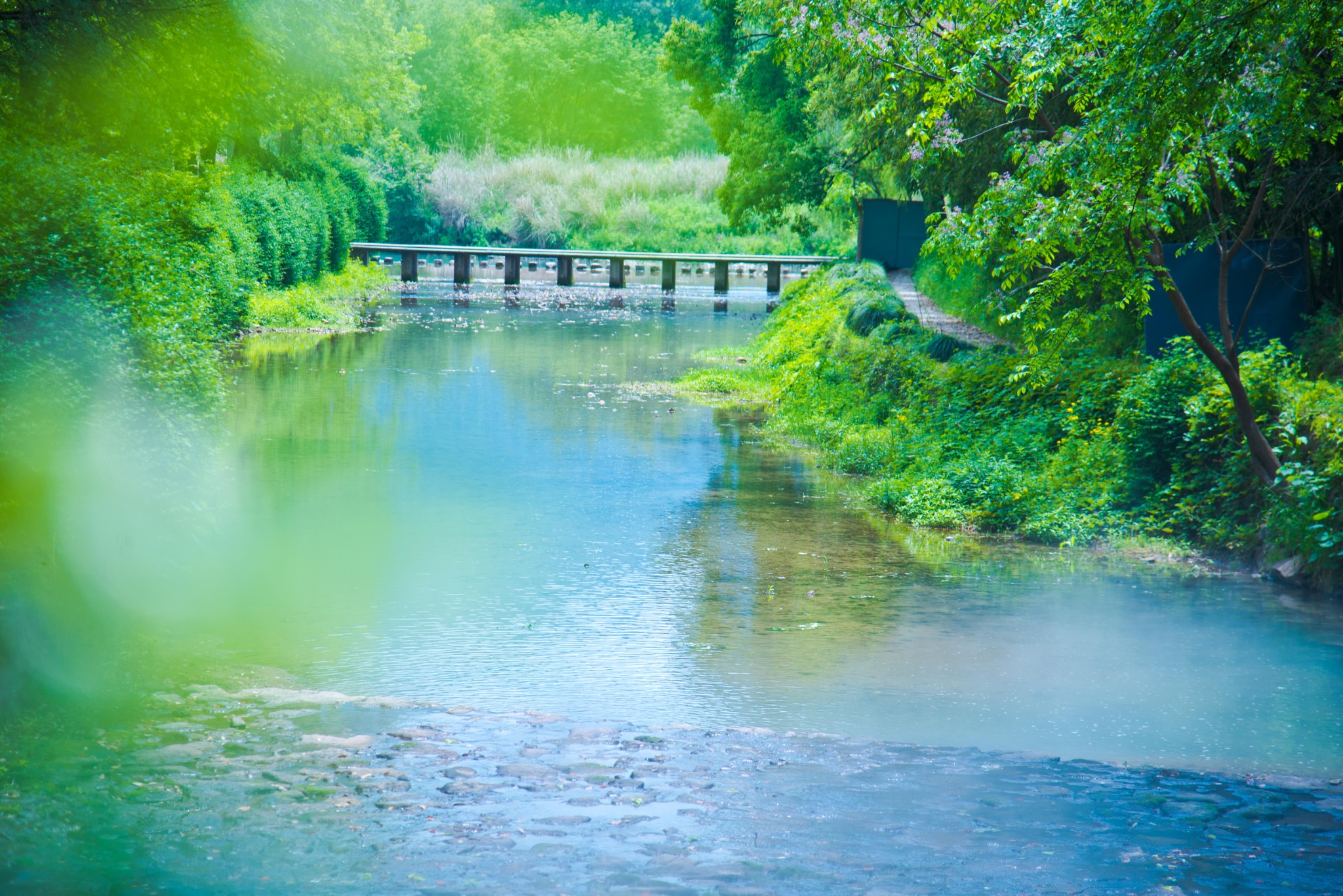 古堰画乡 最美丽的艳遇，爱上丽水这片山水