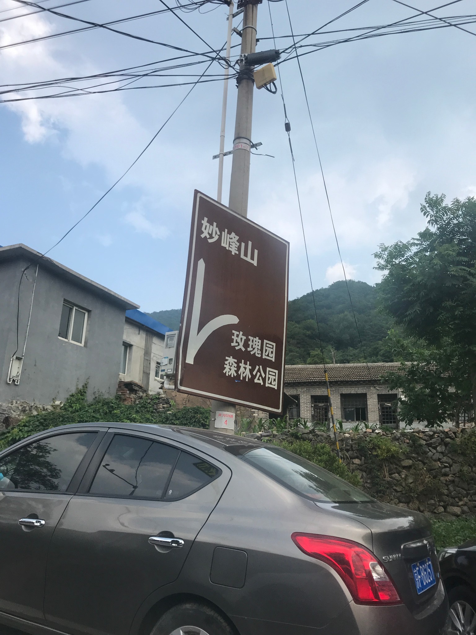 为了找那千亩玫瑰园，跑了两座山_游记