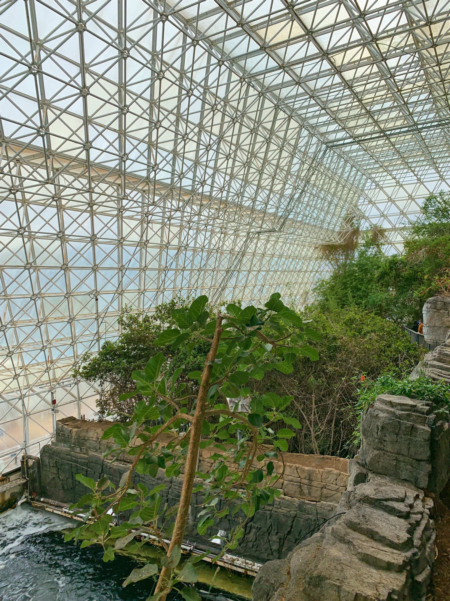 生物圈2号         