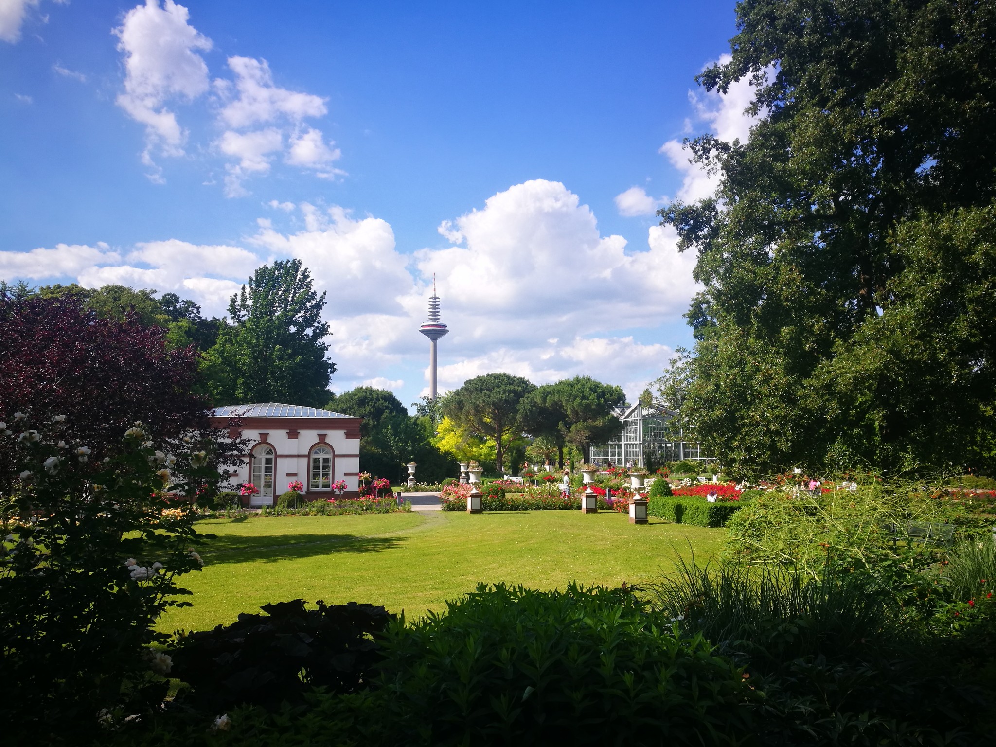 晴天、草地、阳光、森林、城堡-这里的日子_游记