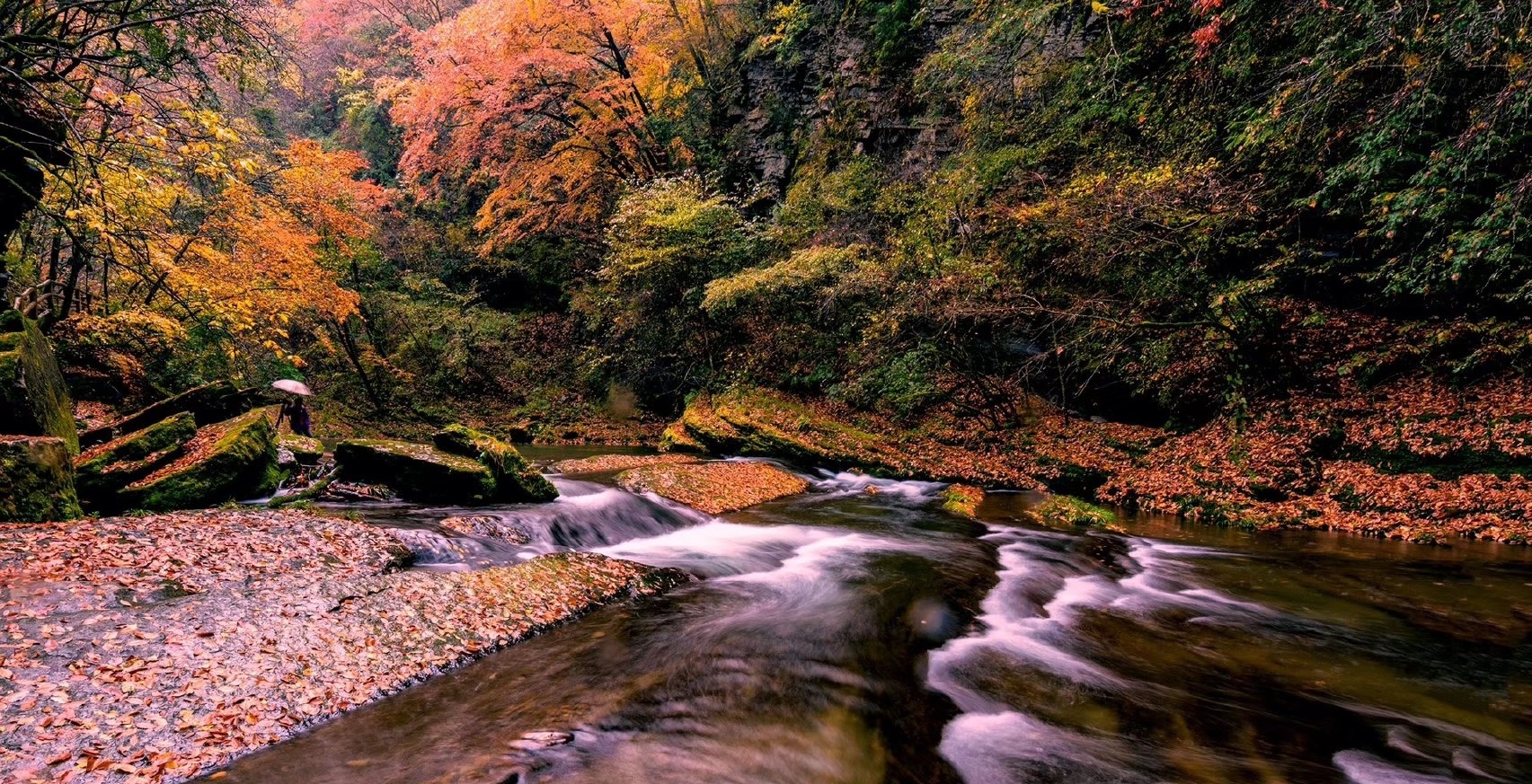 【国庆团期秋醉红叶】西安 光雾山 黎坪国家森林公园纯玩6日游(长安后