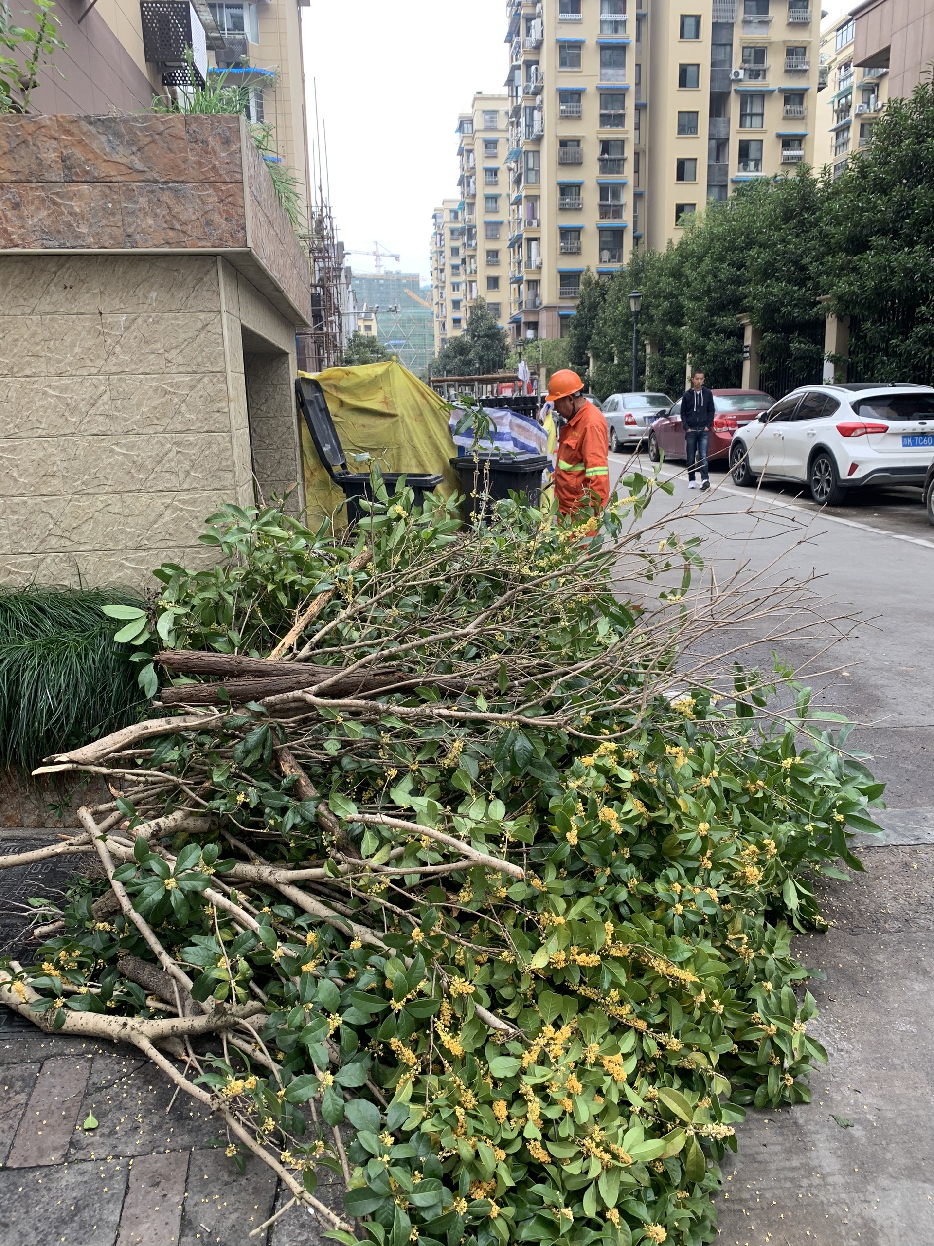 缙云美食-德哥知了