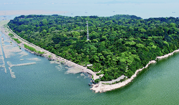 岳阳楼洞庭湖君山岛纯玩一日游湖湘文化之旅火车站集合上车全程导游