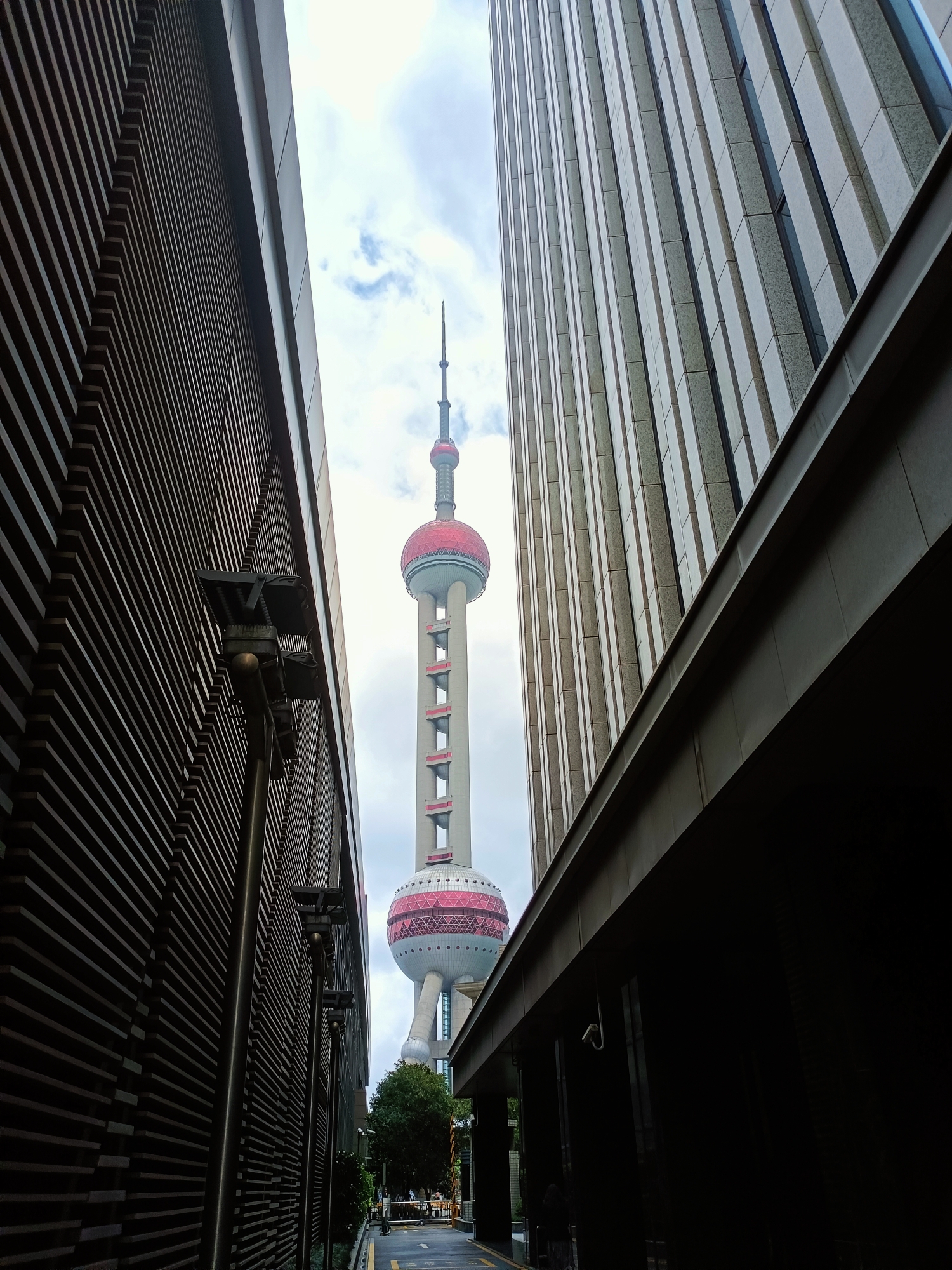 ·上海｜时隔6年，我终于去到了我所一直向往的城市_游记