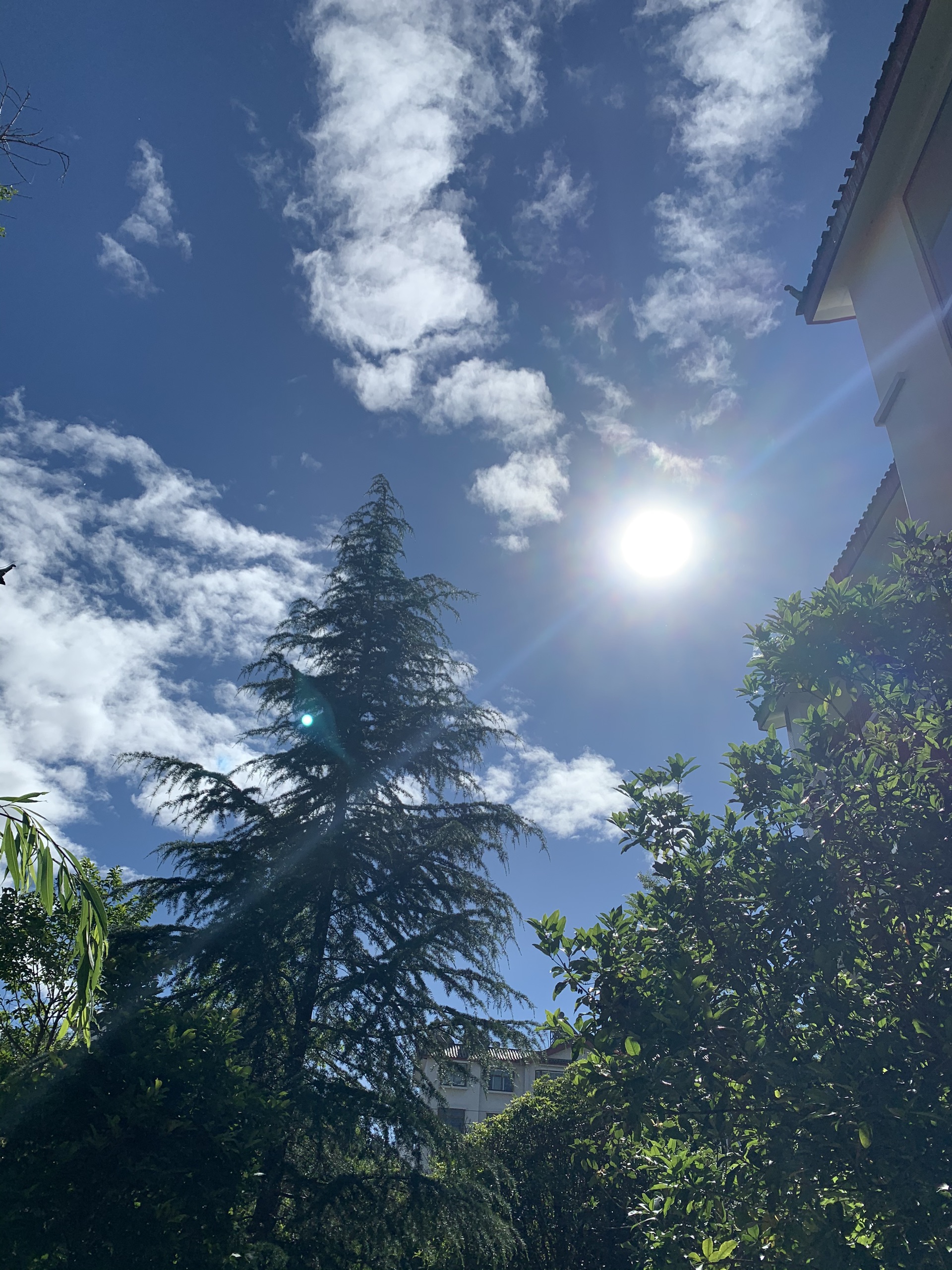 丽江娱乐-纳西篝火晚会