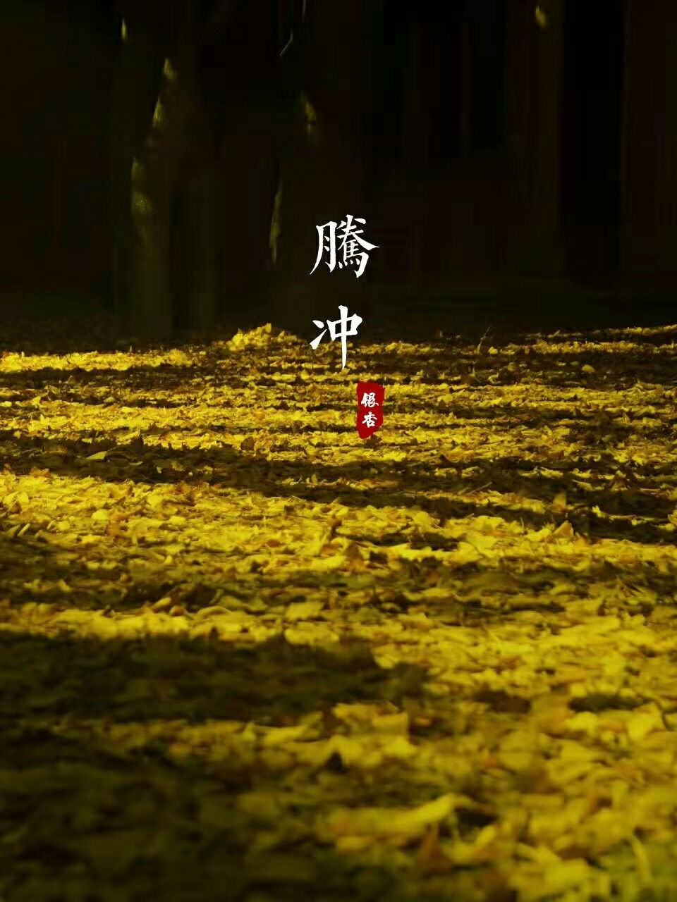 腾冲旅行|2021云南新攻略来袭，超详细！_游记