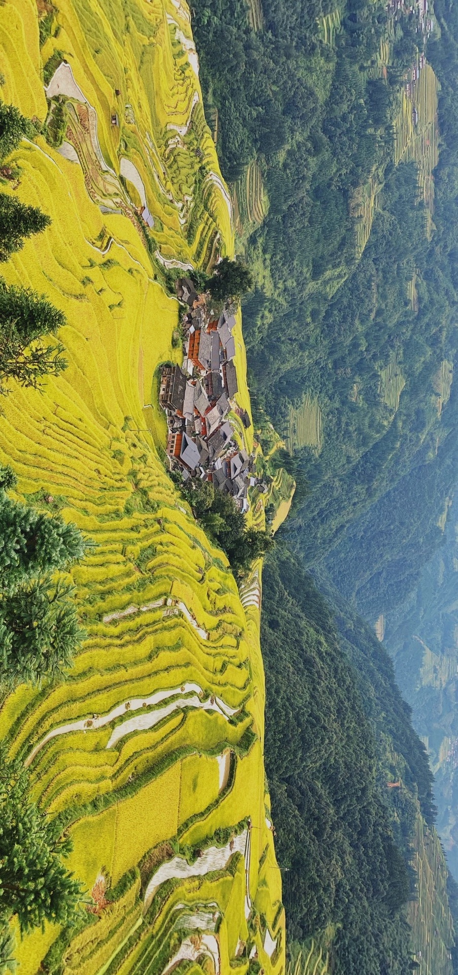 躲不过的秋天雨,加榜梯田*肇兴侗寨,从江旅游攻略 马蜂窝