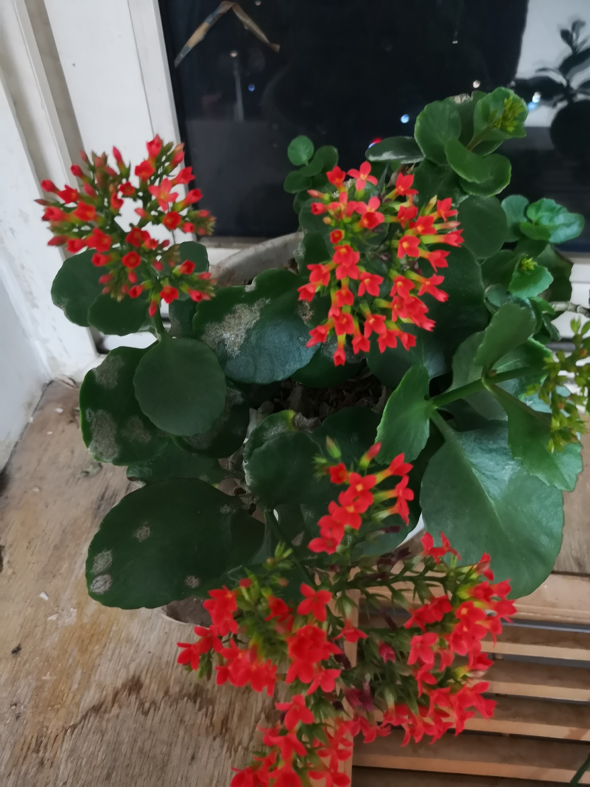 北京娱乐-顽·轰趴