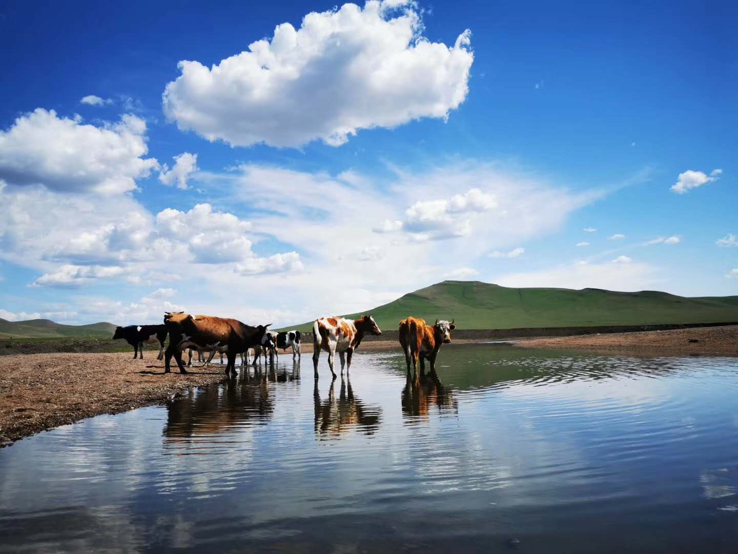 呼伦贝尔旅游攻略.呼伦贝尔旅行攻略·全新呼伦攻略