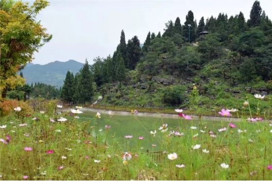 重庆避暑宝藏地，2天1夜亲子营，小众又好耍！