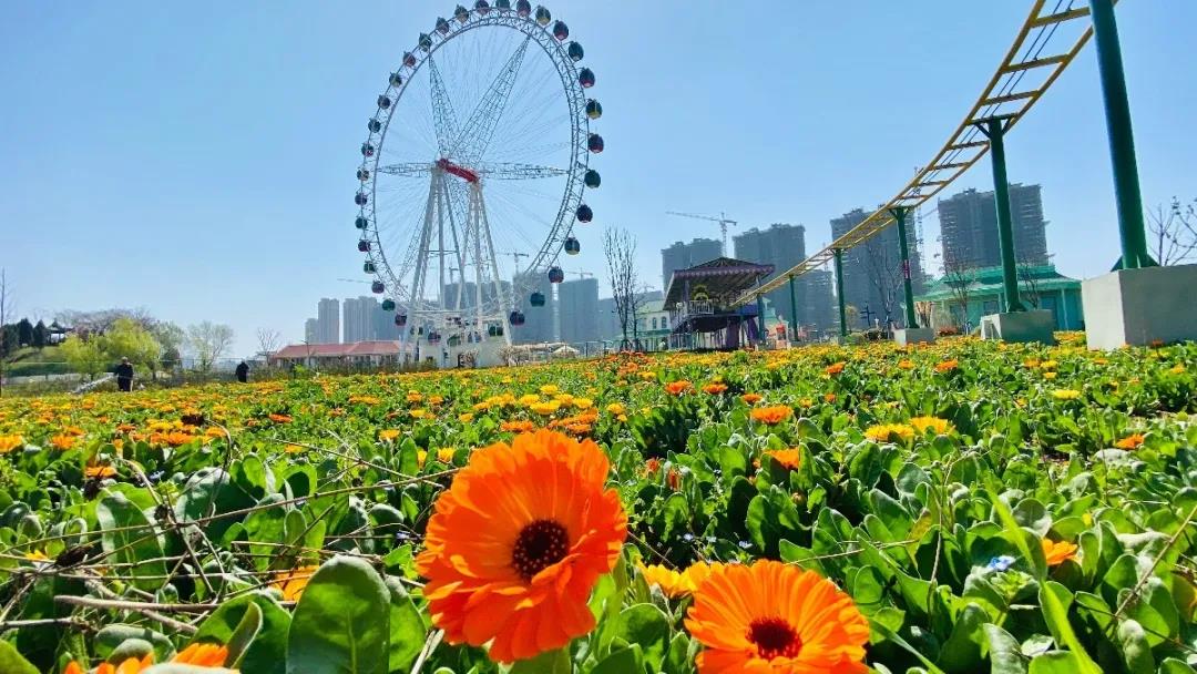 临泉旅游图片
