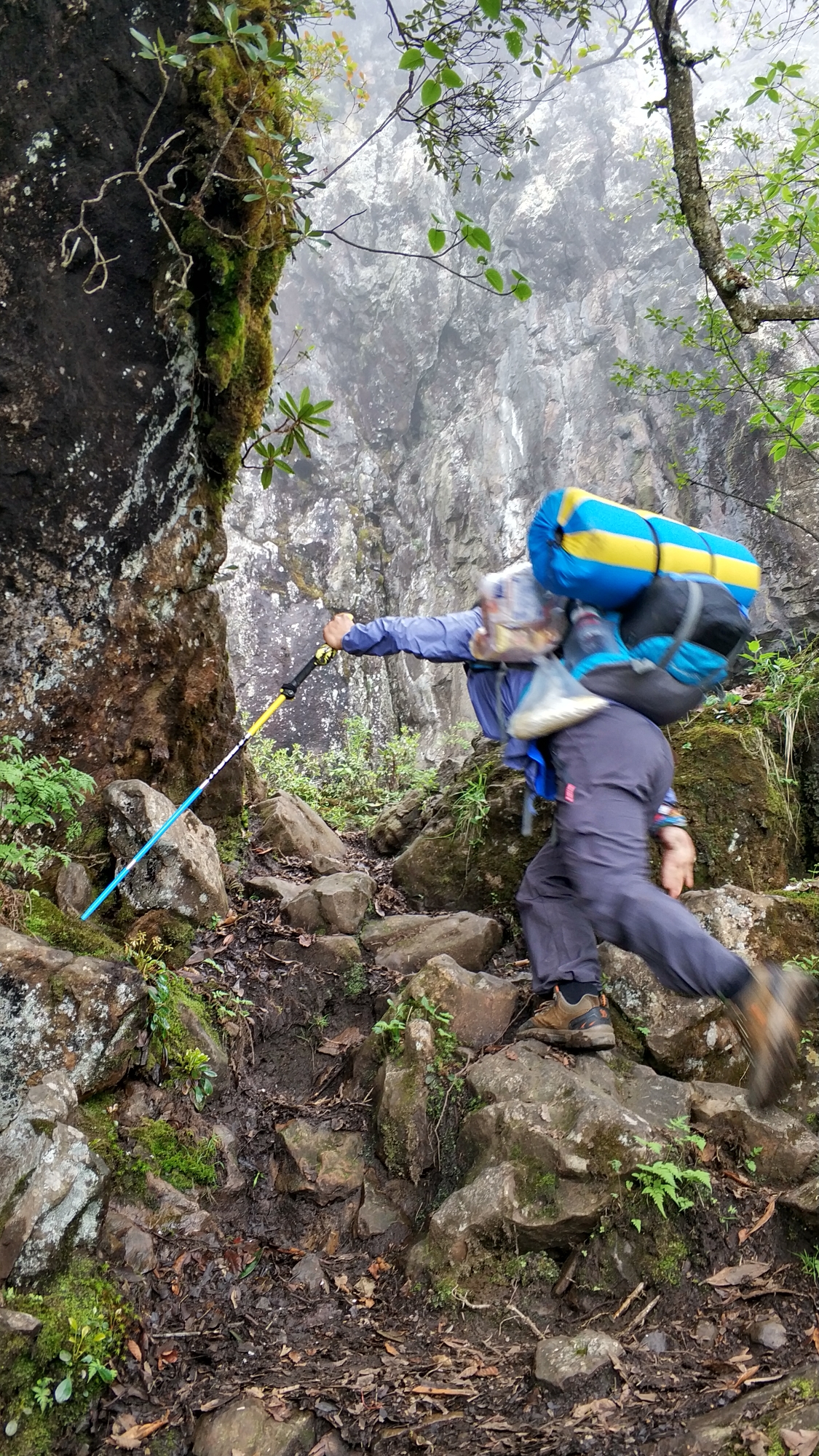 金口河大瓦山『重装登顶』,赏漫山高山杜鹃,转转花 观