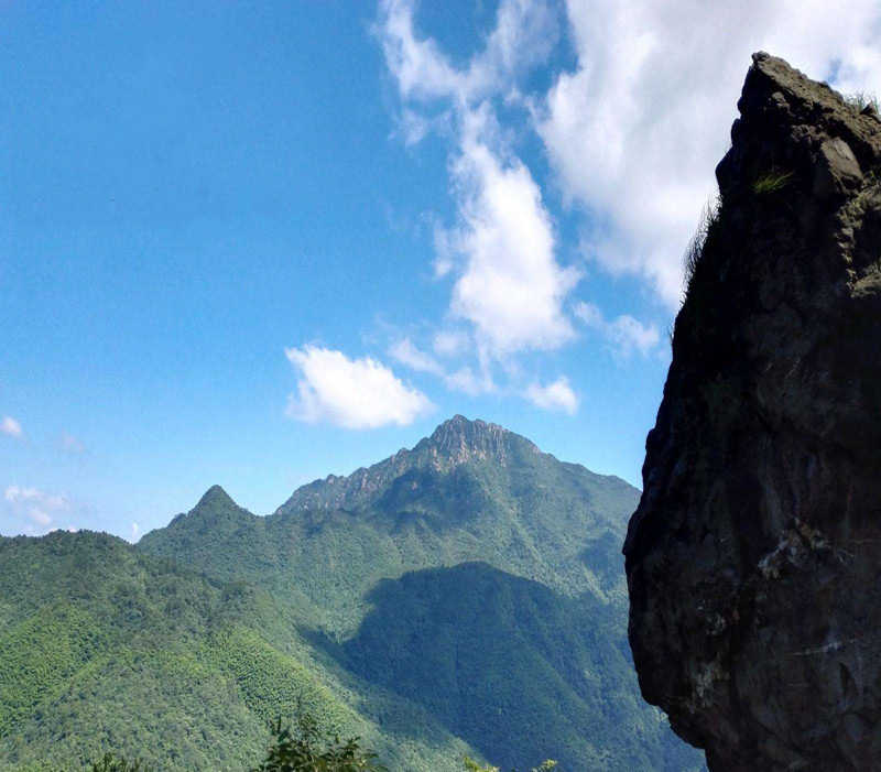 九江武宁神雾山门票神雾山风景区多雾如梦百花争艳天高气爽丹桂飘香