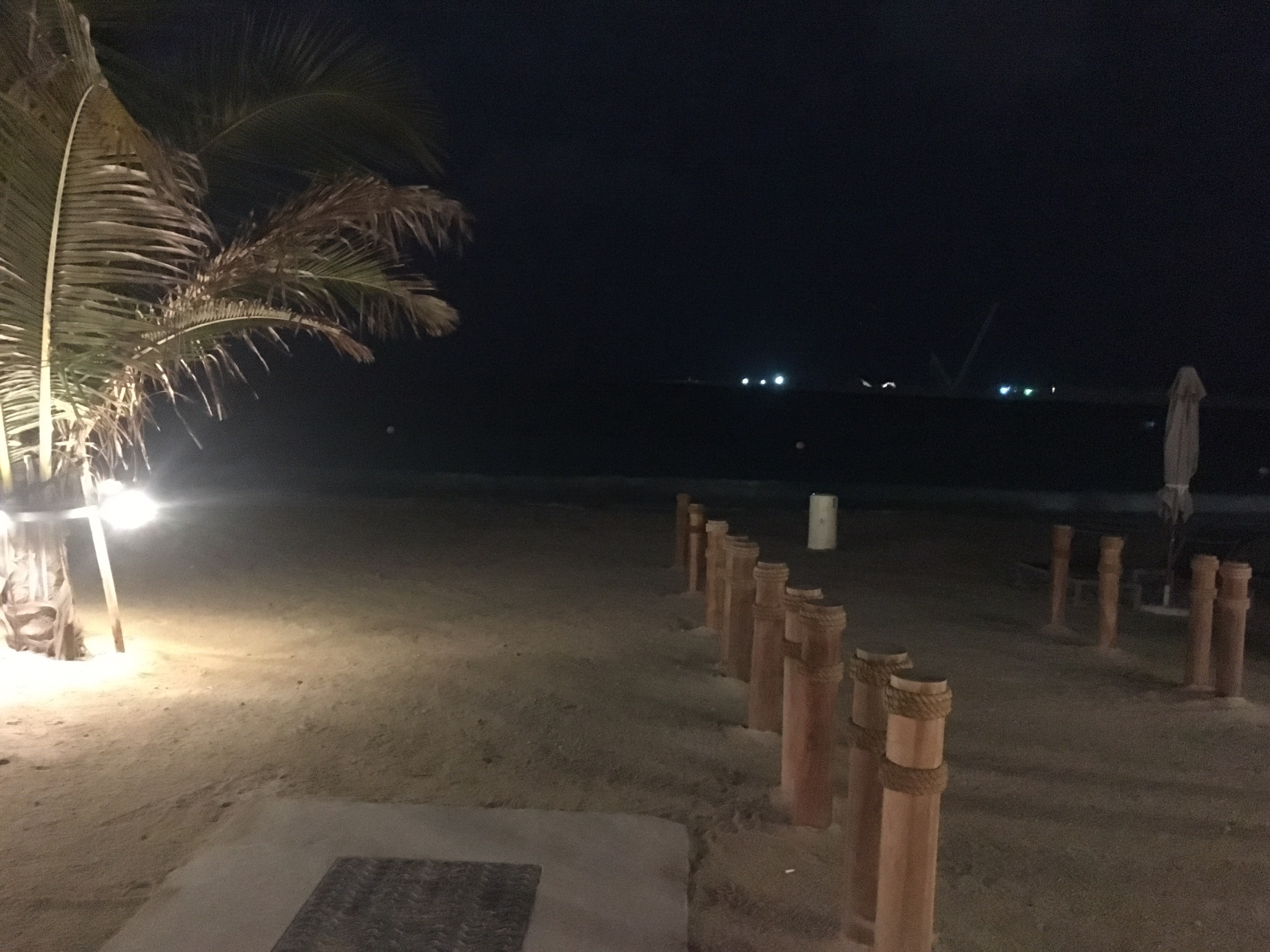 迪拜美食-illy caffe