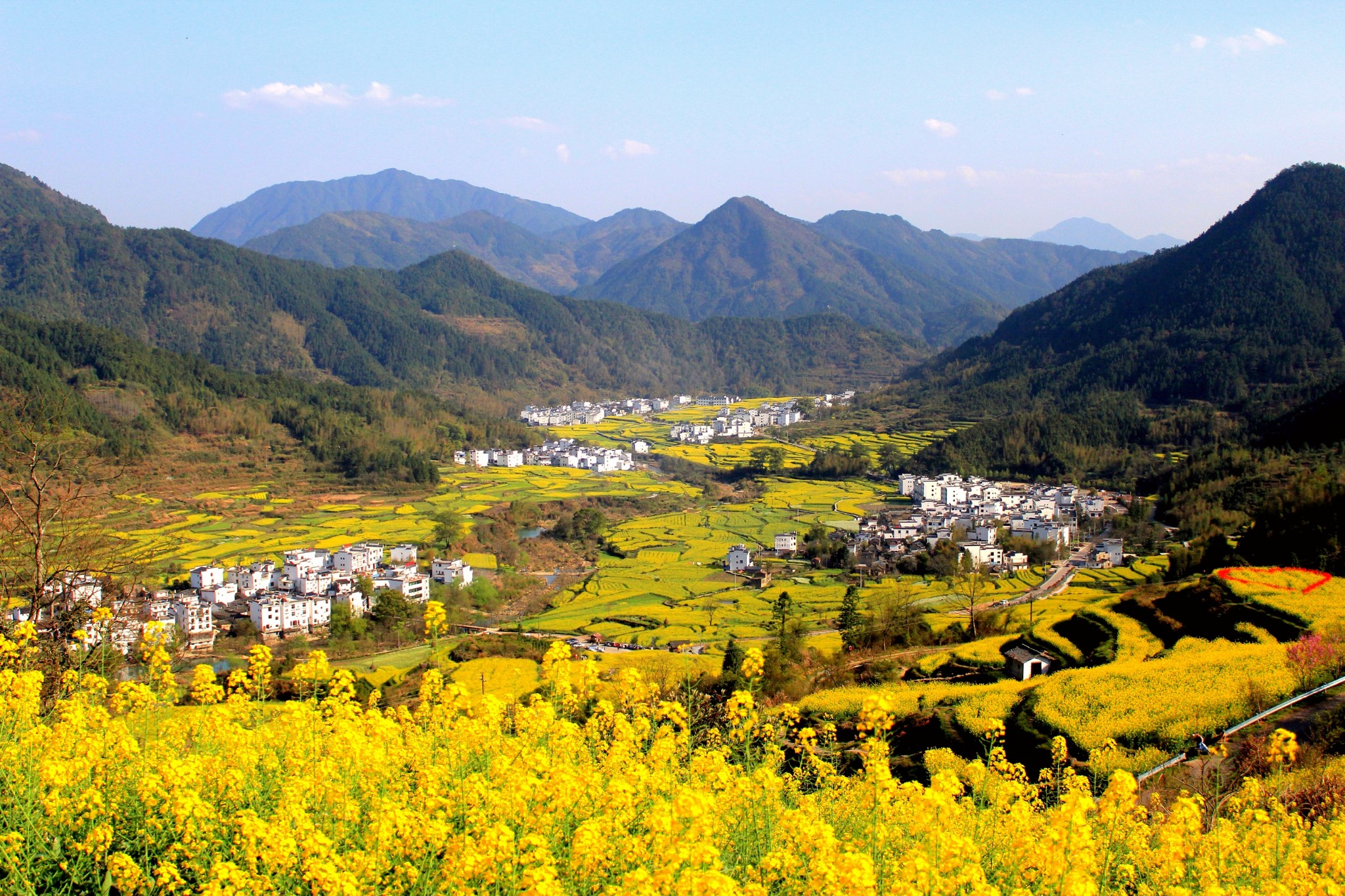 ·阳春三月，“又”见婺源_游记
